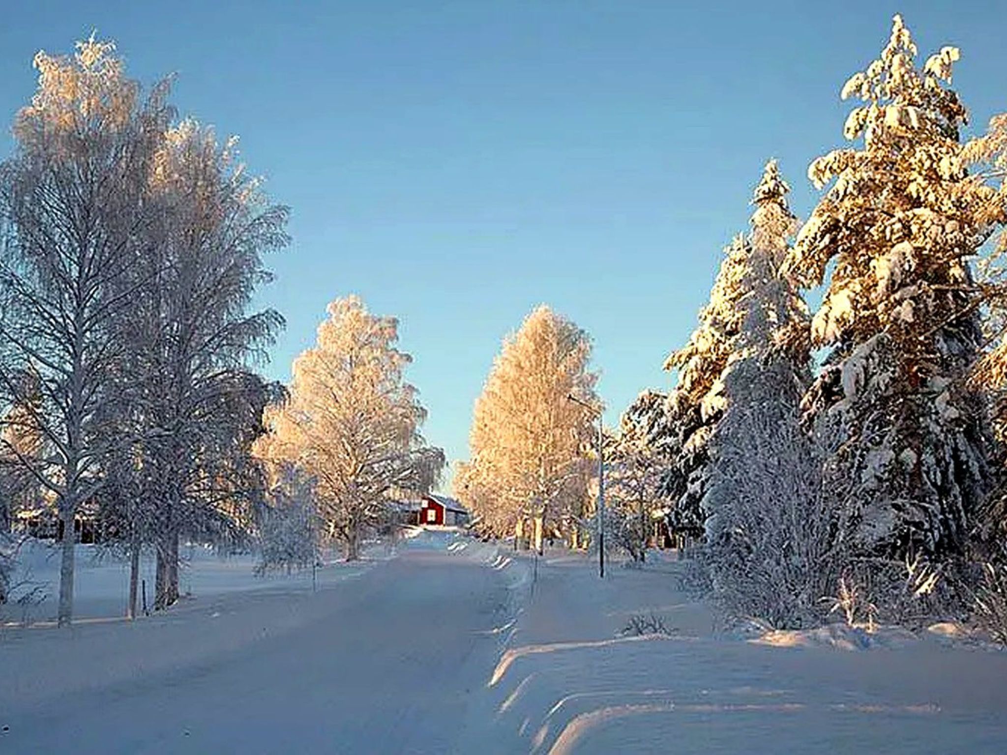 Am Wald mit Kaminofen und Veranda-Binnen