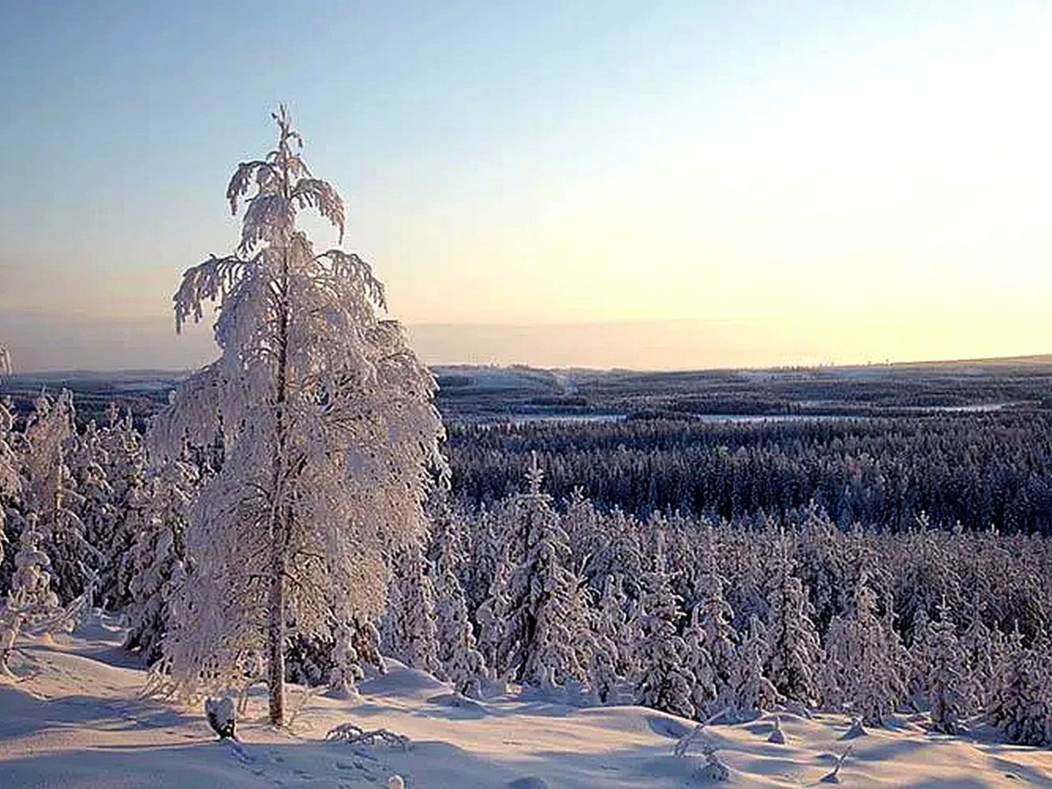 Am Wald mit Kaminofen und Veranda-Binnen