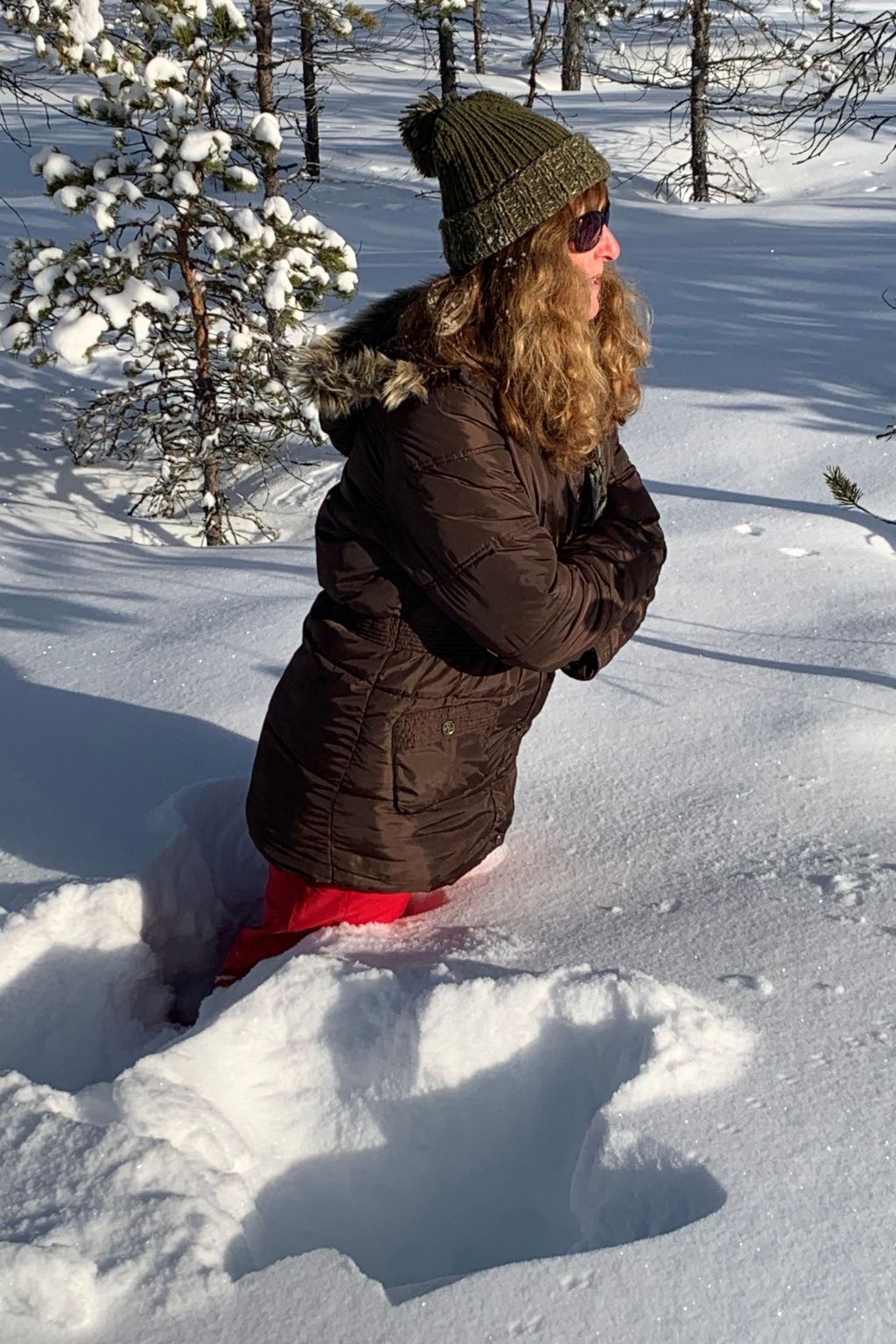 Landhaus auf großem Rasengrundstück-Draußen