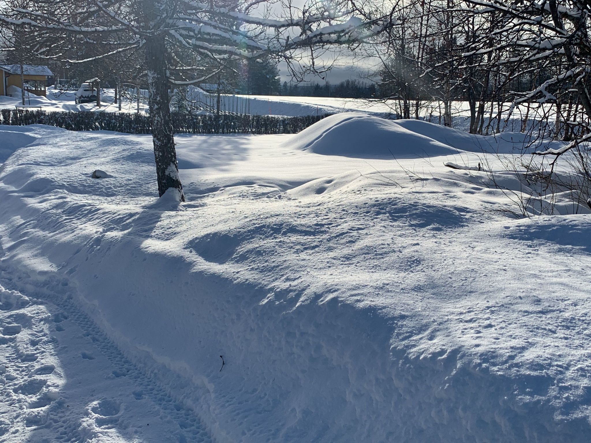 Landhaus auf großem Rasengrundstück-Draußen