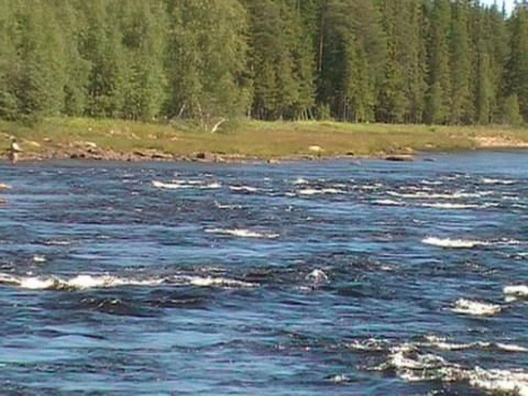 Landhaus auf großem Rasengrundstück-Image-tags.info