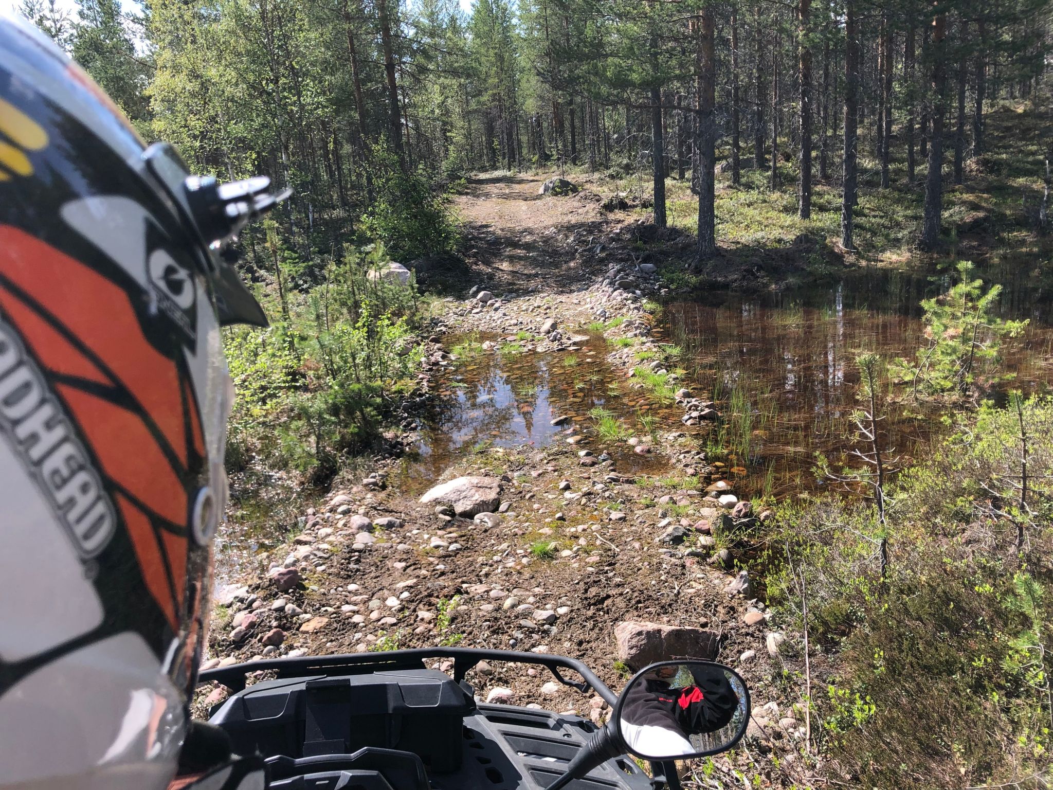 Landhaus auf großem Rasengrundstück-Draußen