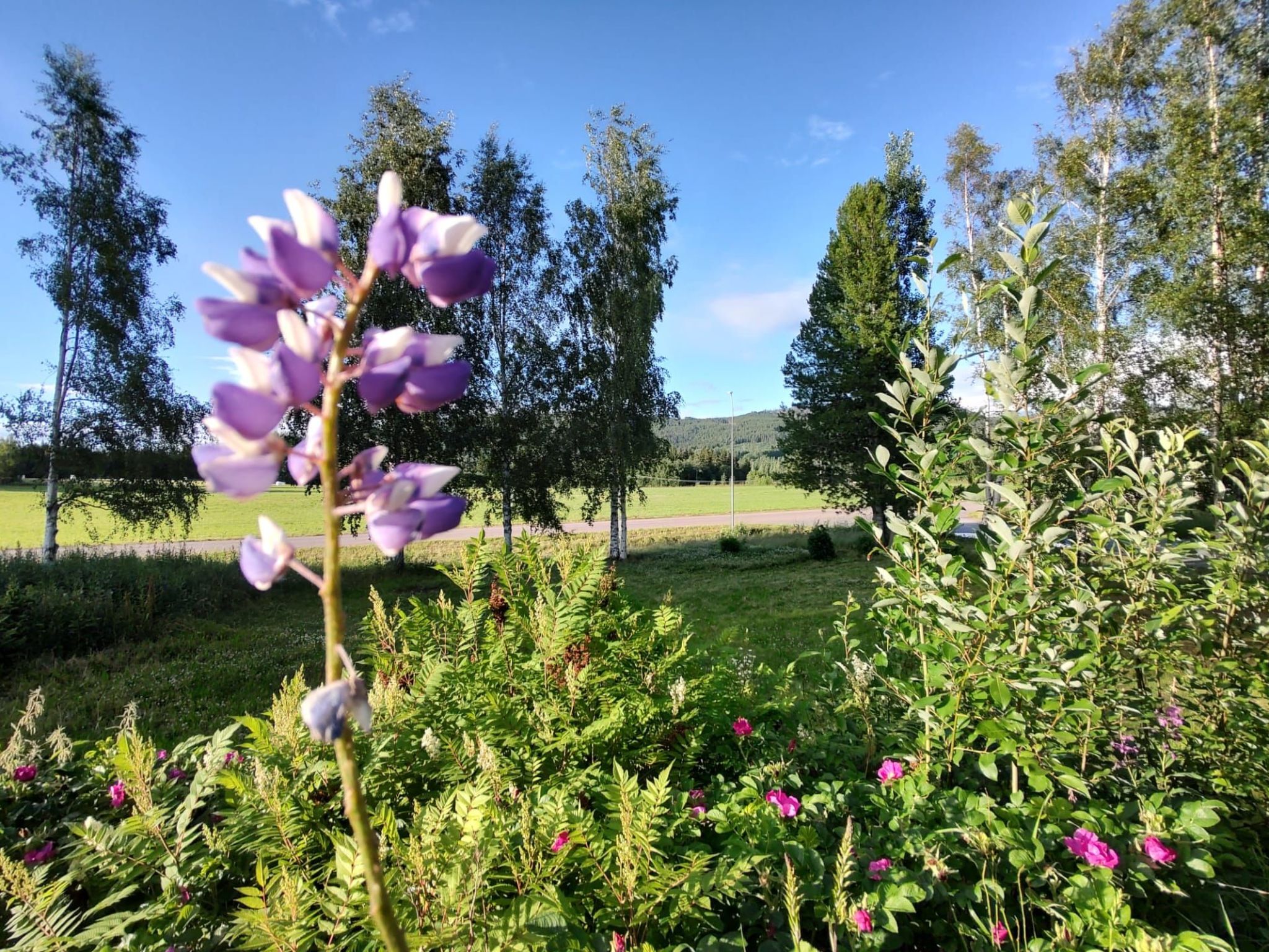 Schöne große "Villa Stolle" 9 Personen 2 Bäder-Dehors