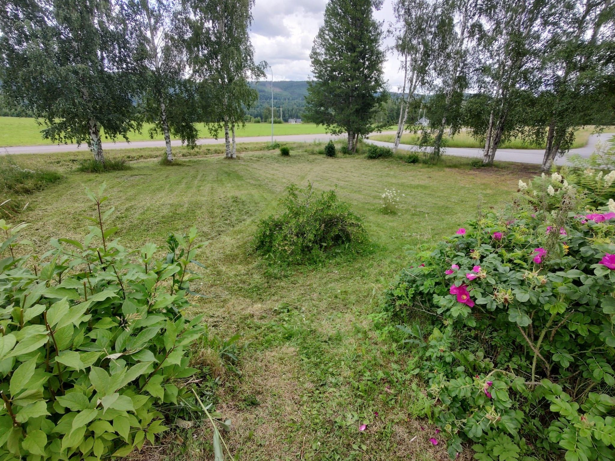 Schöne große "Villa Stolle" 9 Personen 2 Bäder-Dehors