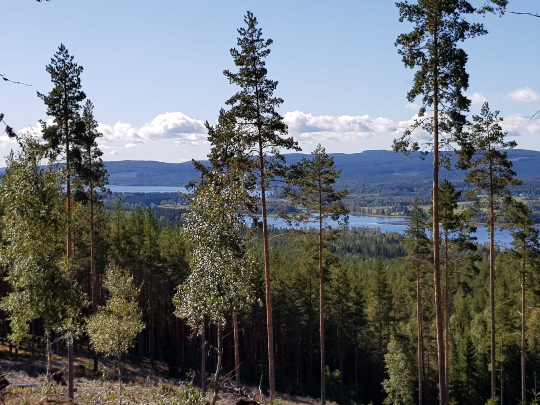 In Hagfors mit Großem Garten-Image-tags.info