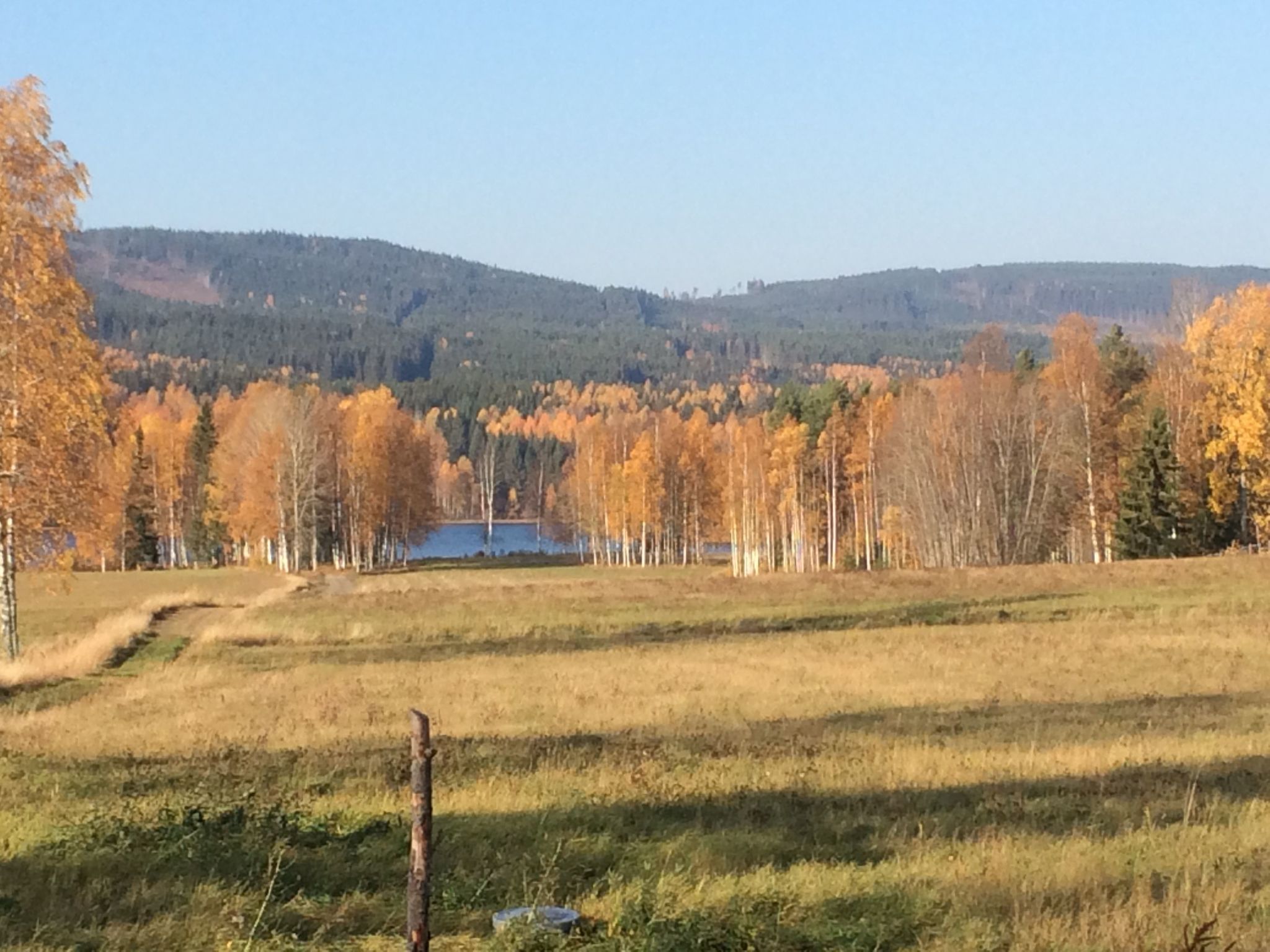 In Hagfors mit Großem Garten-Image-tags.info