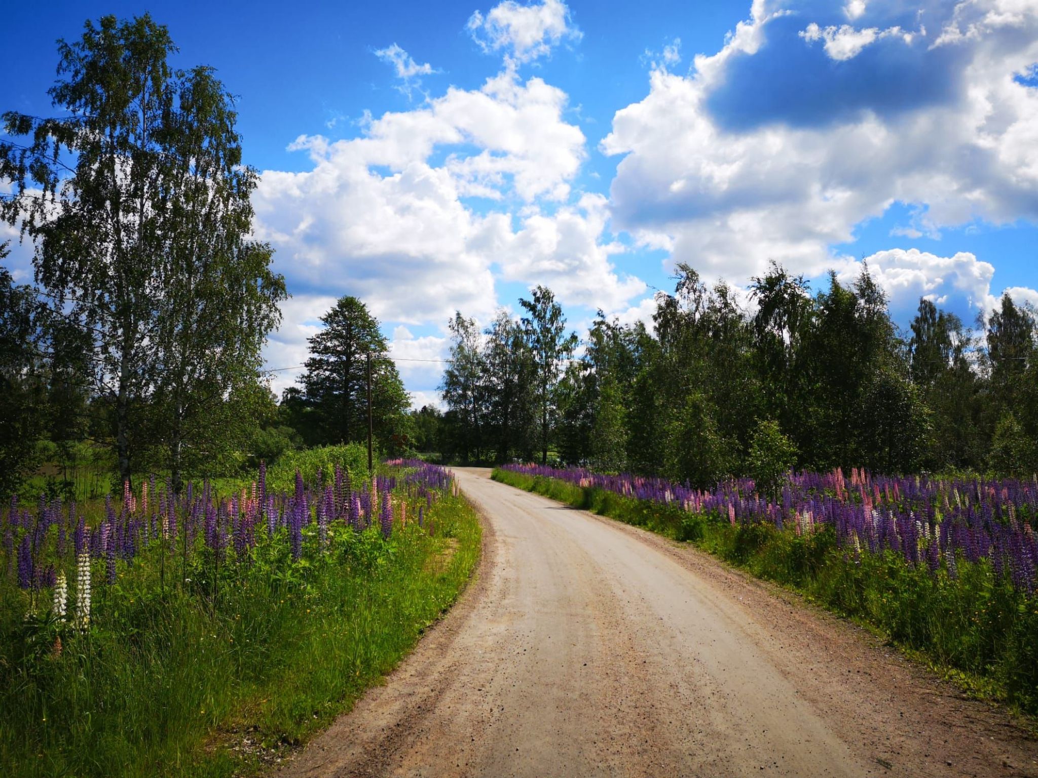 In Hagfors mit Großem Garten-Image-tags.info