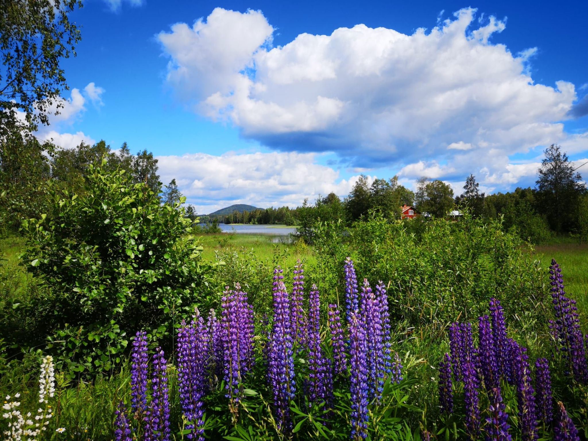 In Hagfors mit Großem Garten-Image-tags.info
