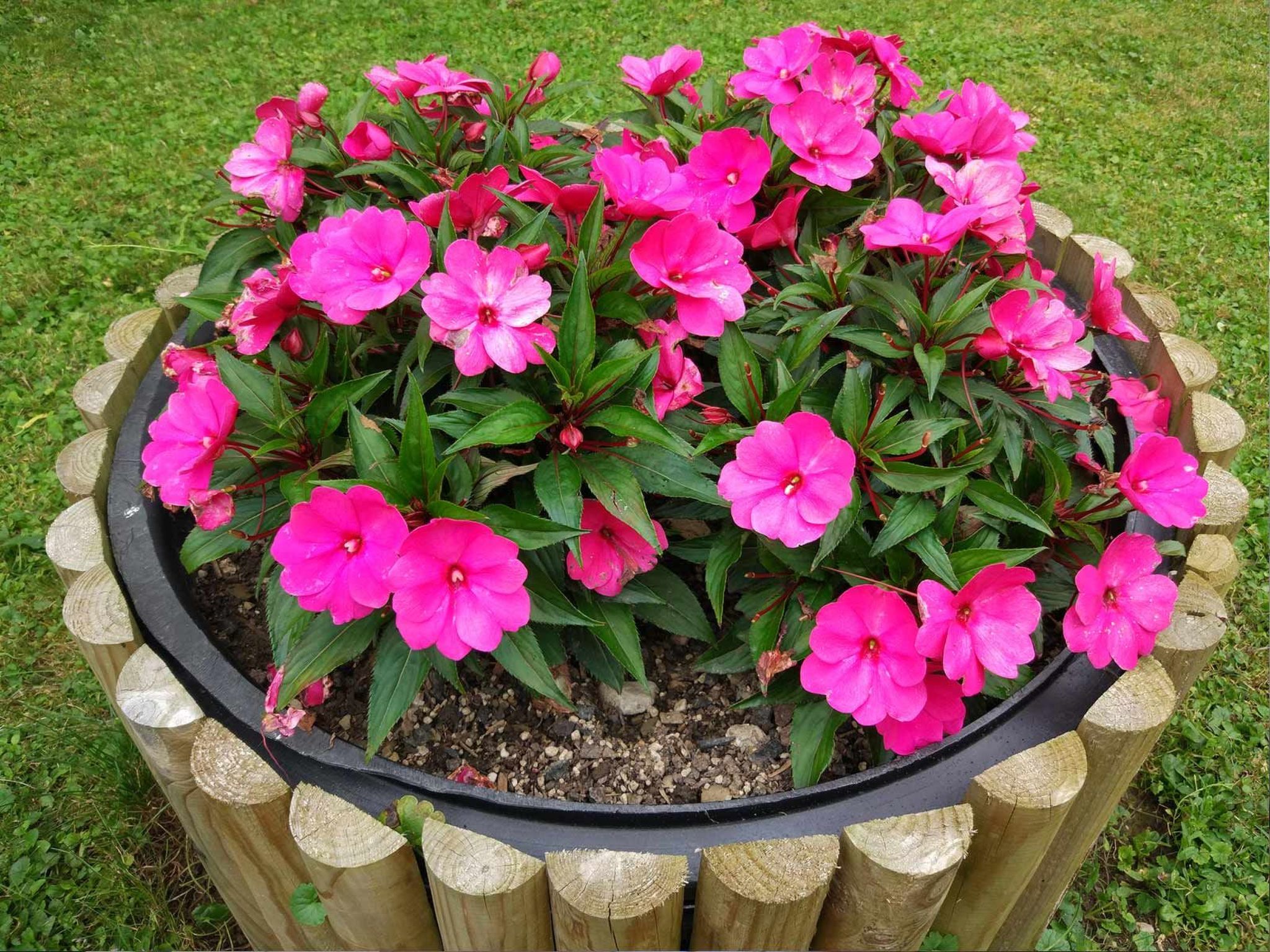 Wohnung Lapanja 2 mit Gemeinschaftsgarten-Binnen