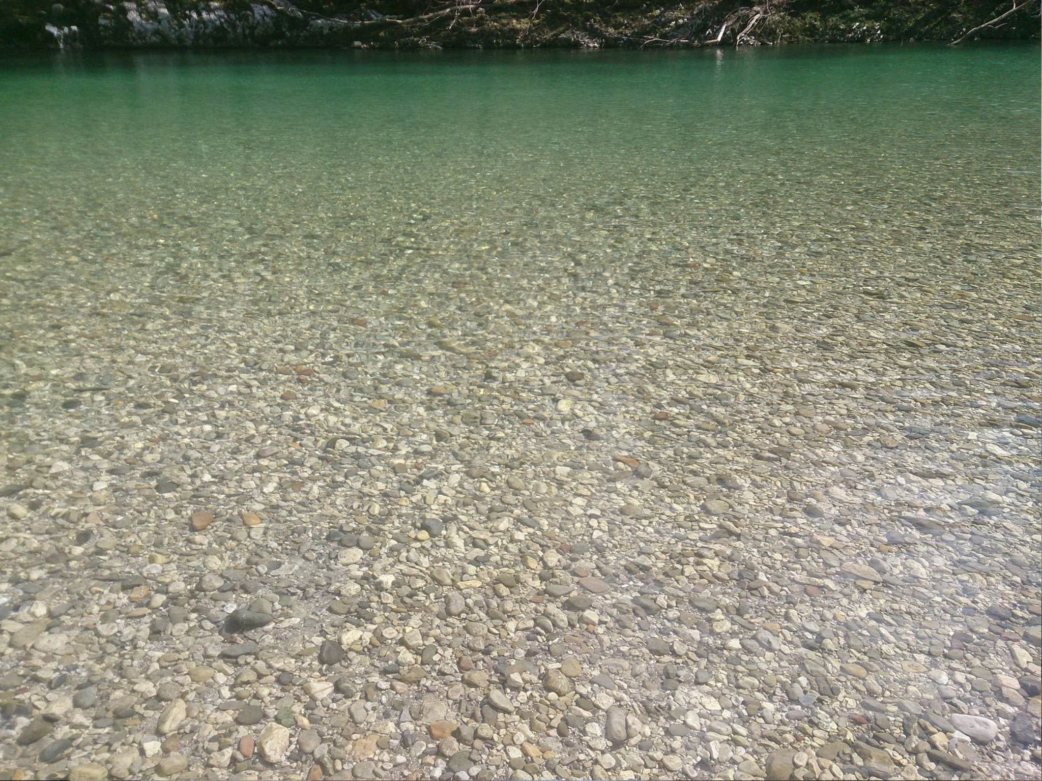 Wohnung Lapanja 2 mit Gemeinschaftsgarten-Binnen