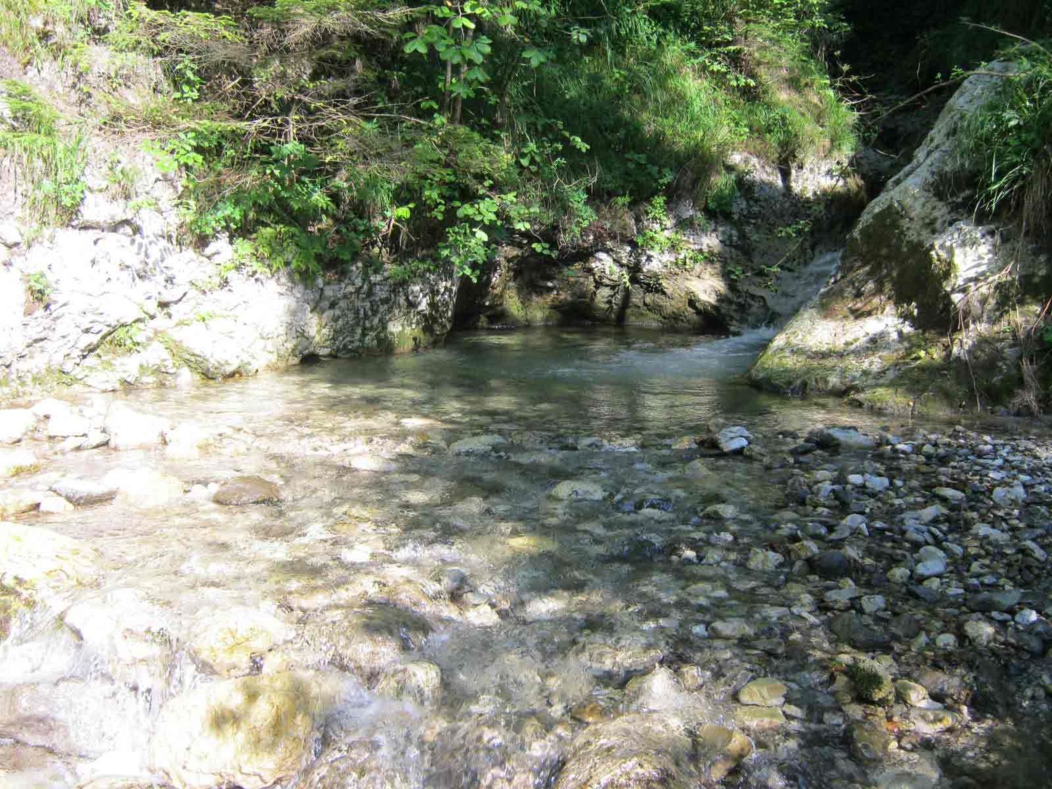 Geräumiges Ferienhaus inmitten der Natur-Binnen