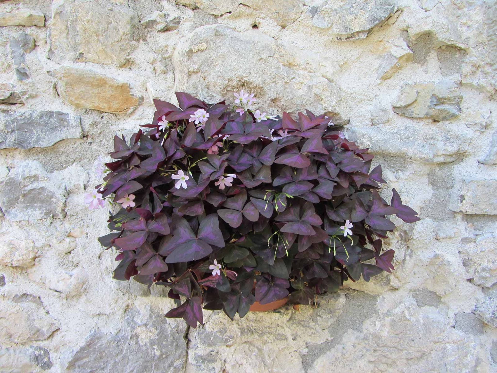 Geräumiges Ferienhaus inmitten der Natur-Binnen