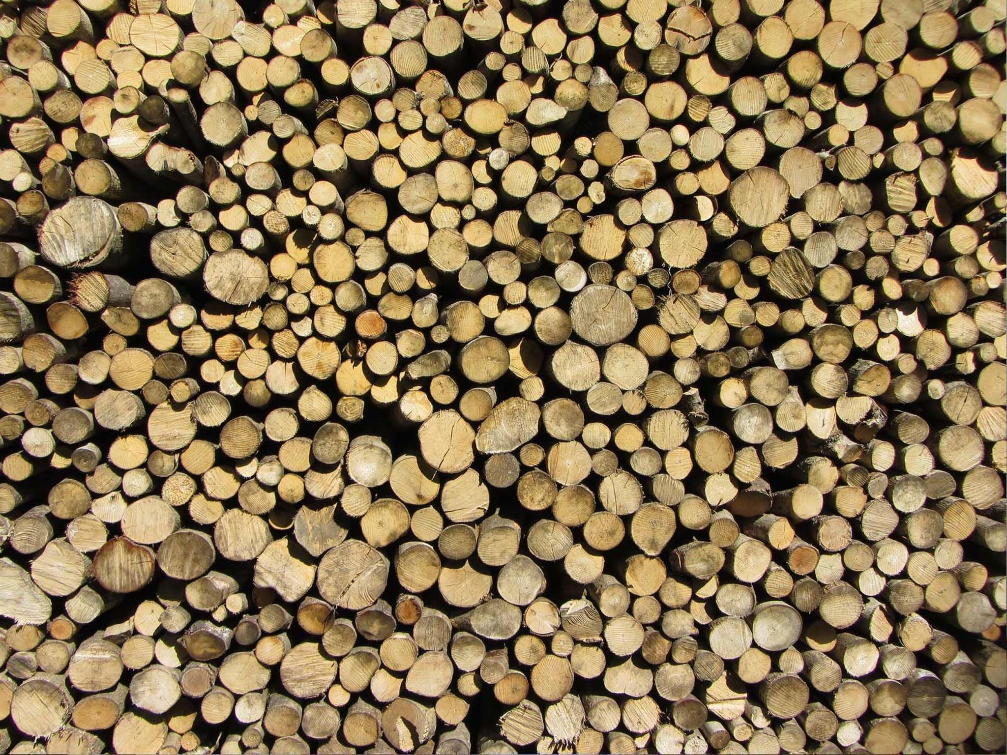 Geräumiges Ferienhaus inmitten der Natur-Binnen