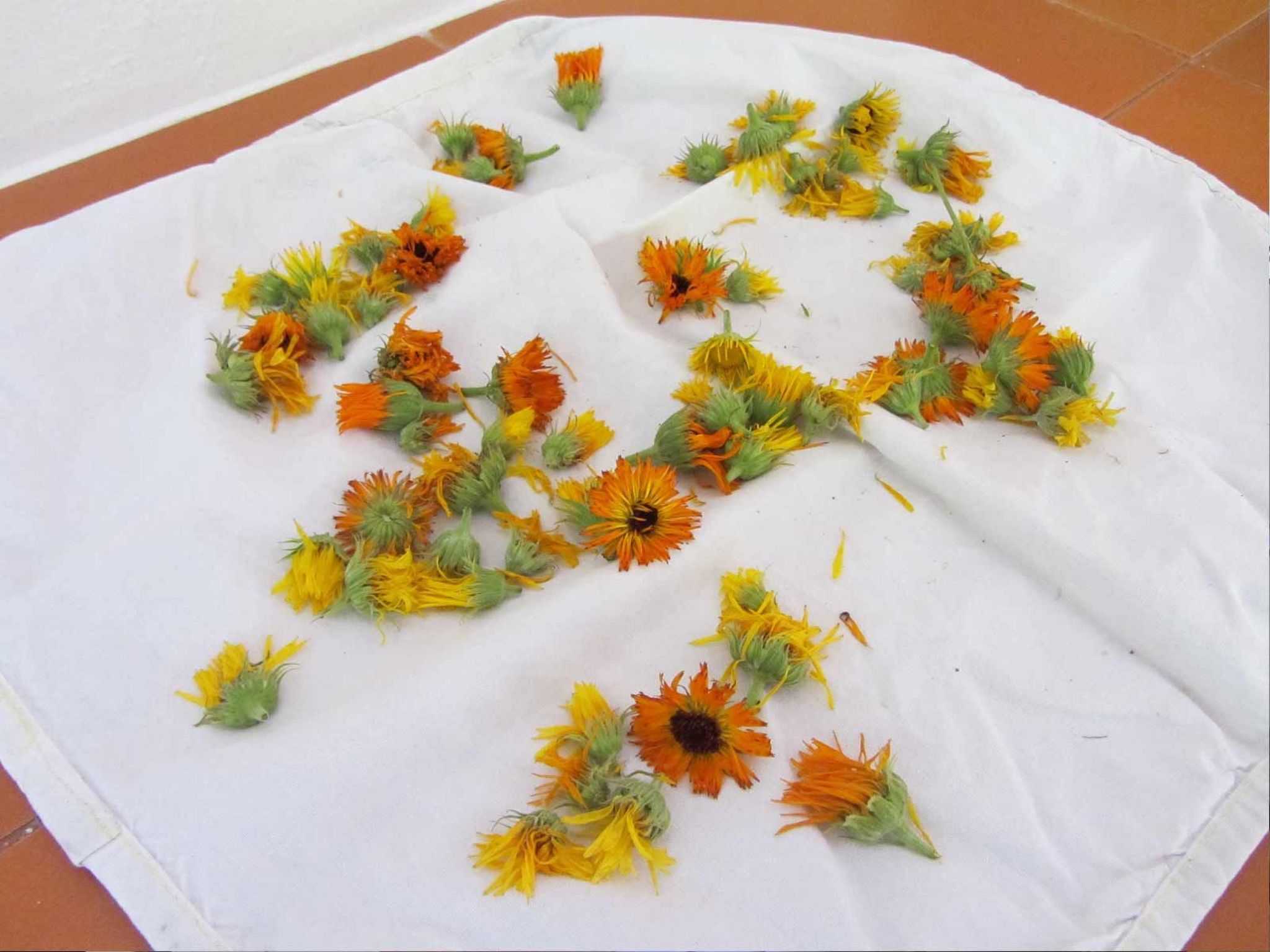 Geräumiges Ferienhaus inmitten der Natur-Binnen