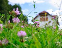 Villa Katarina: Vrijstaand genieten in de natuur van Zuid-Oost Slovenië - thumbnail 6
