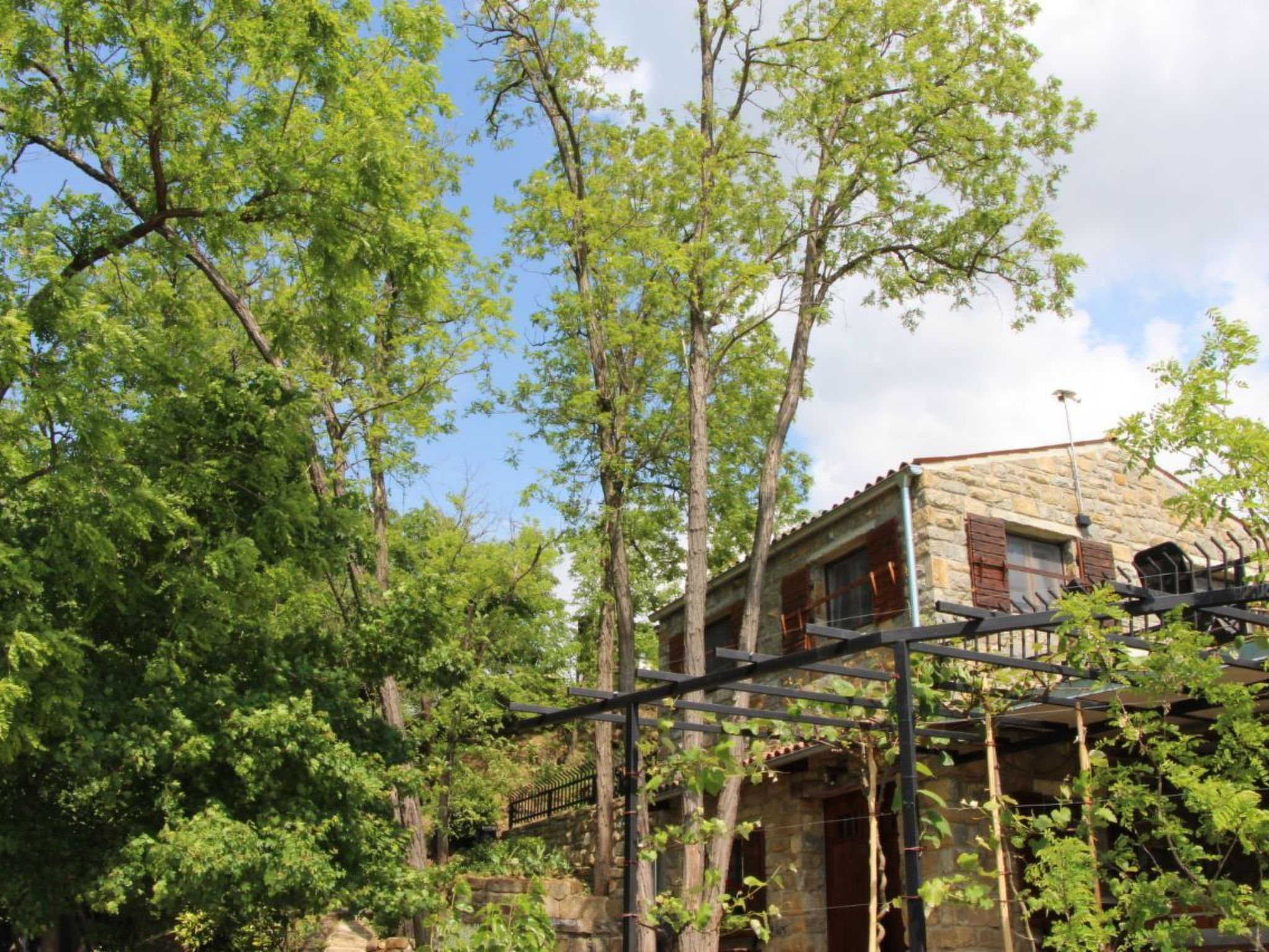 Kazeta-Image-tags.info