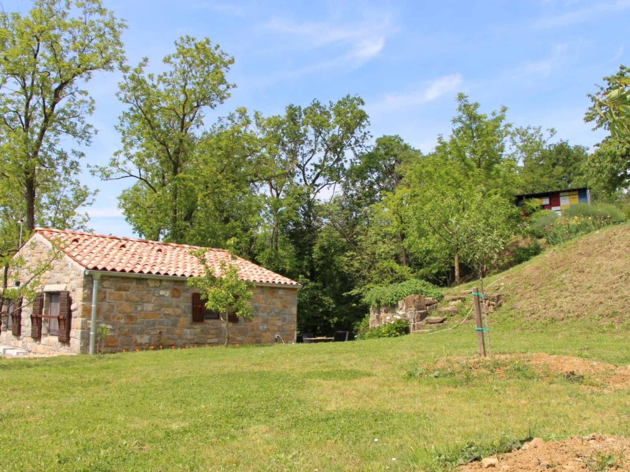 Kazeta-Image-tags.info