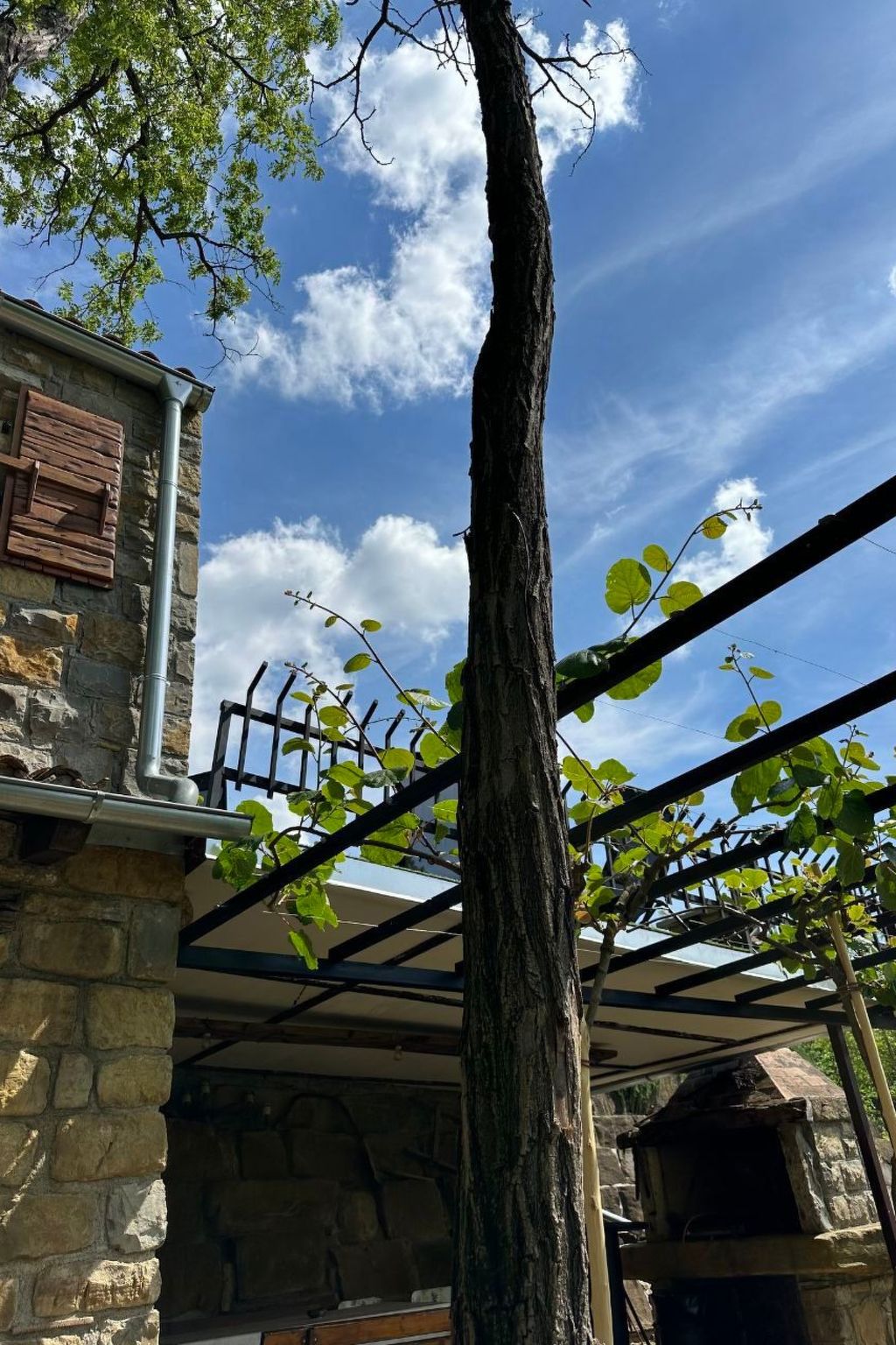 Kazeta-Image-tags.info