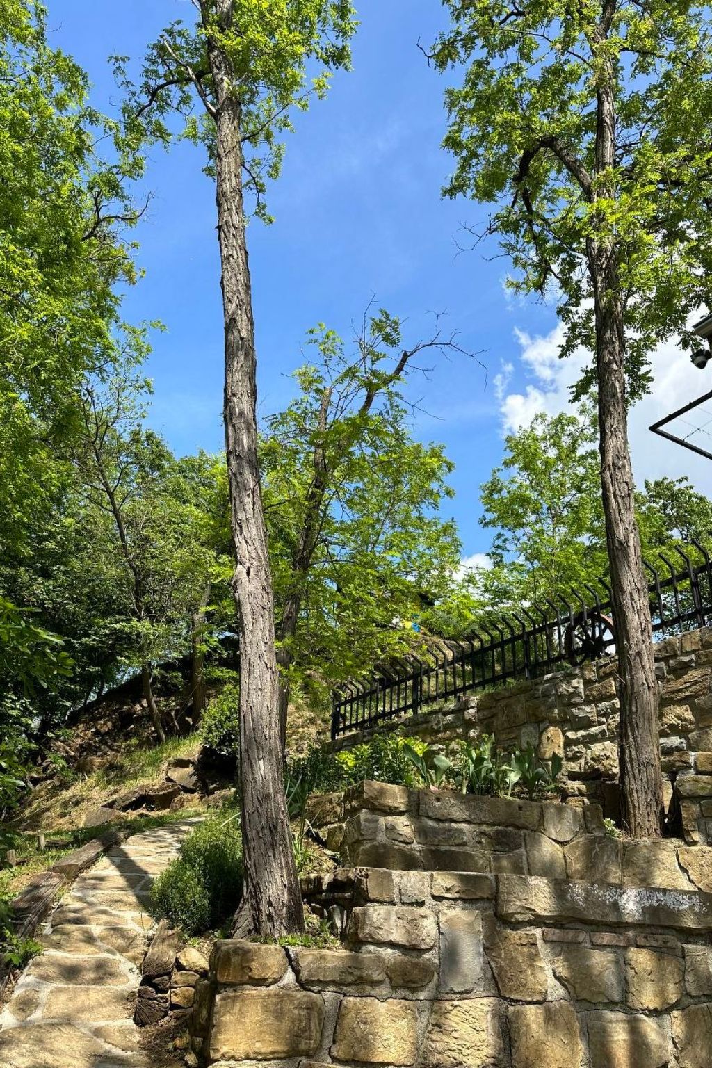 Kazeta-Image-tags.info