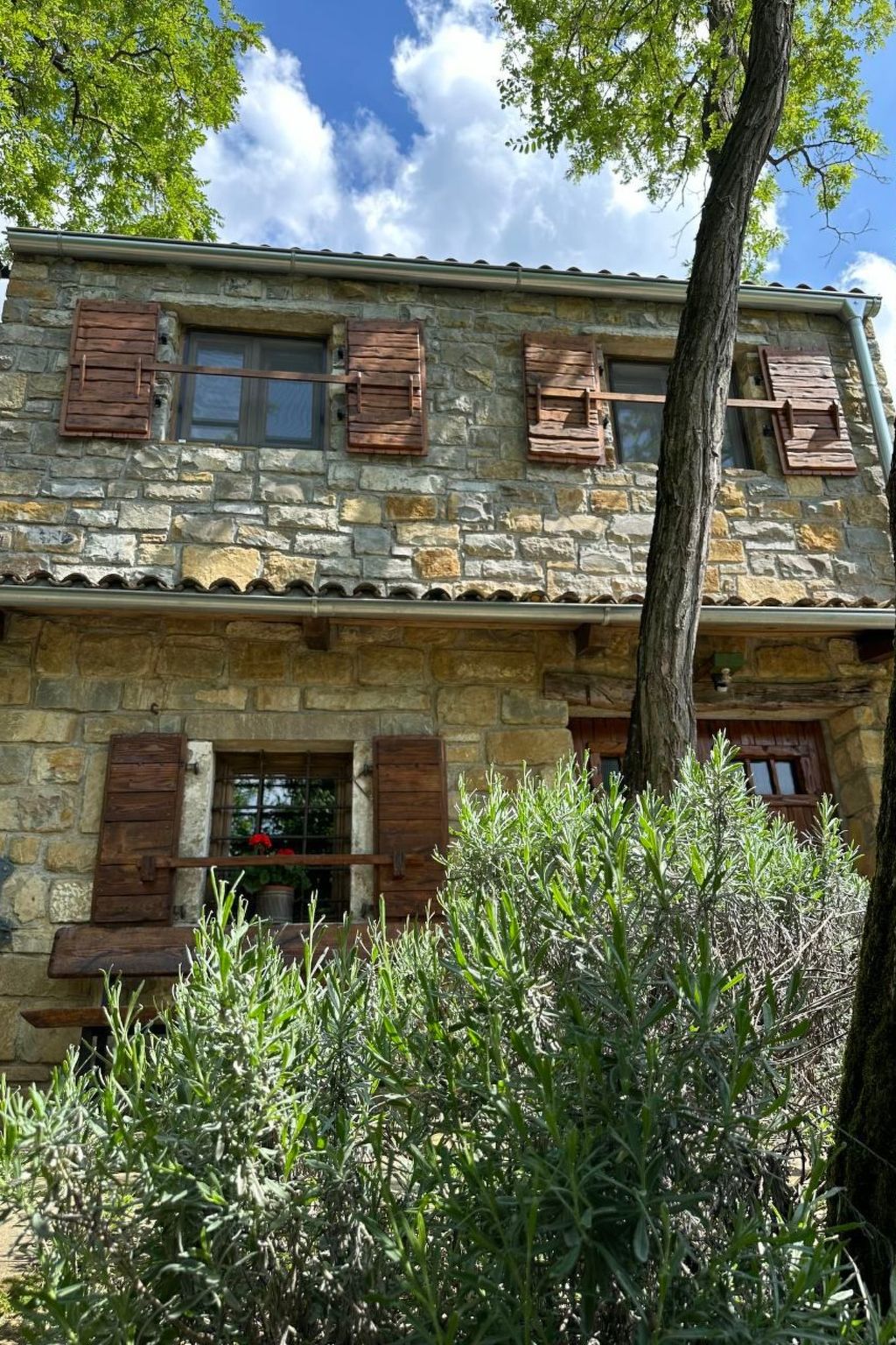 Kazeta-Image-tags.info