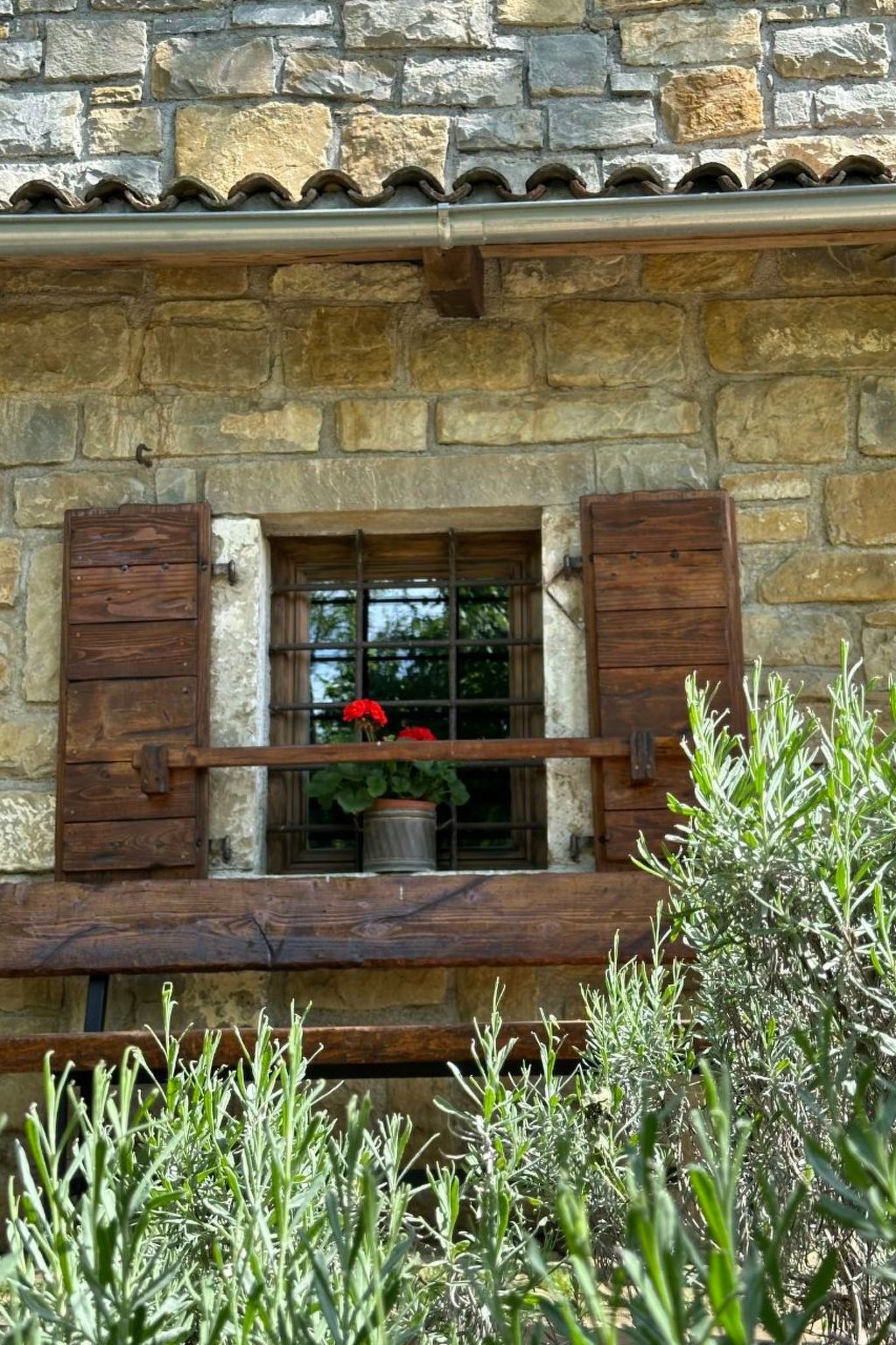 Kazeta-Image-tags.info