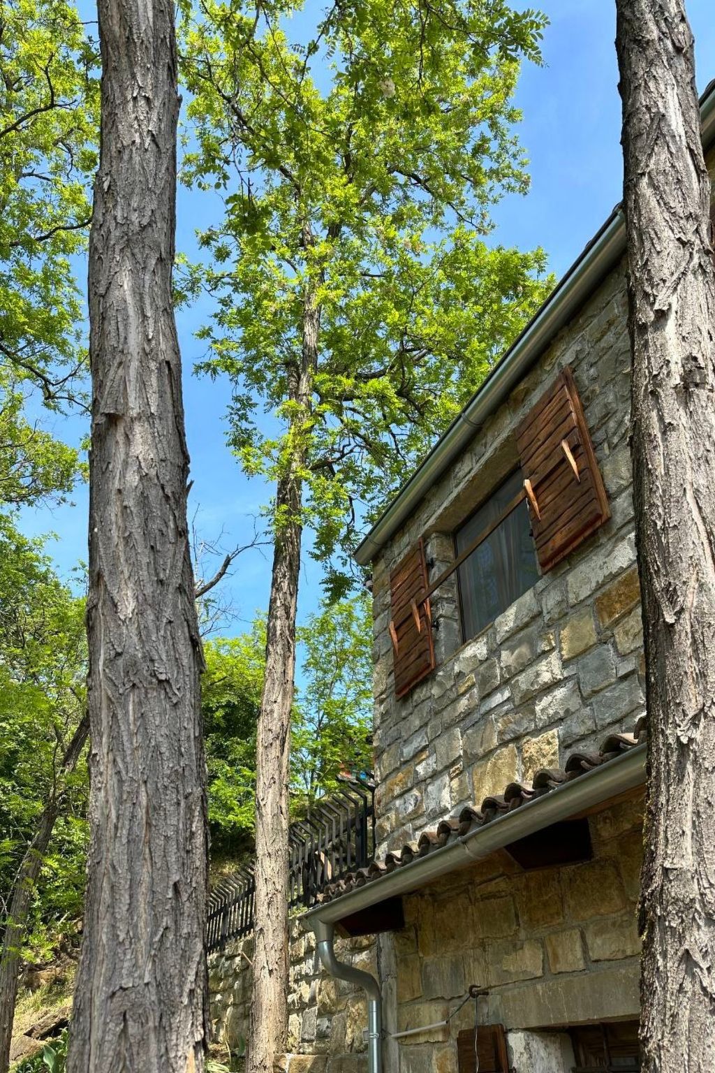 Kazeta-Image-tags.info