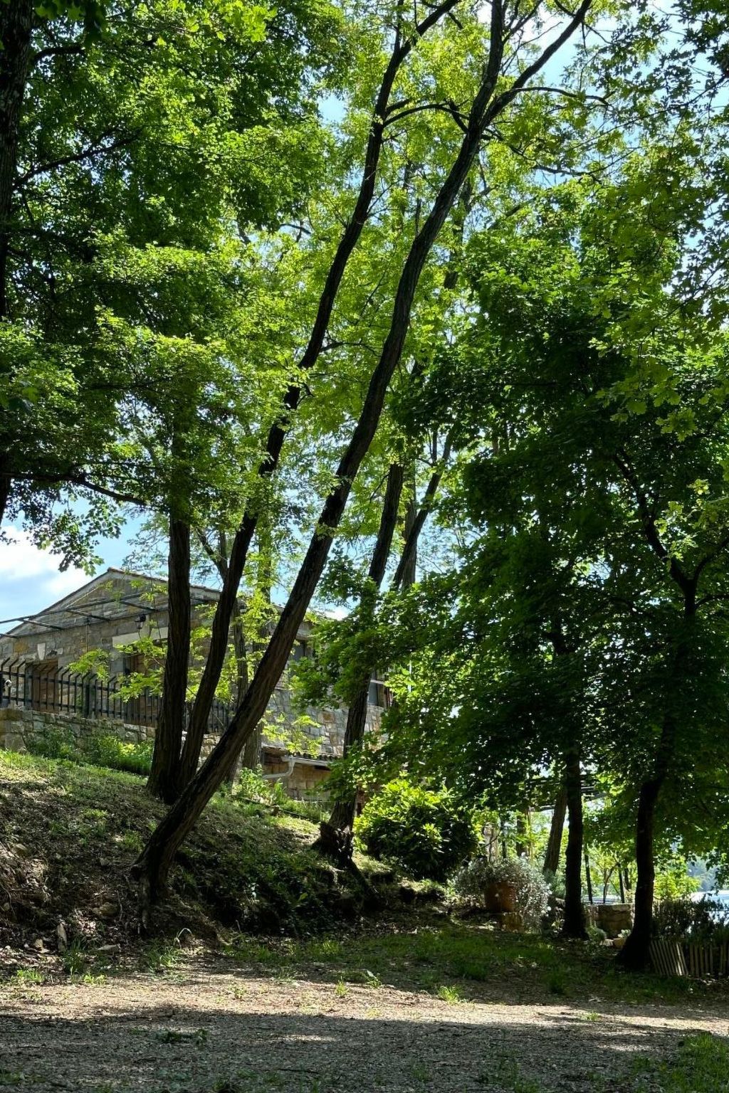 Kazeta-Image-tags.info