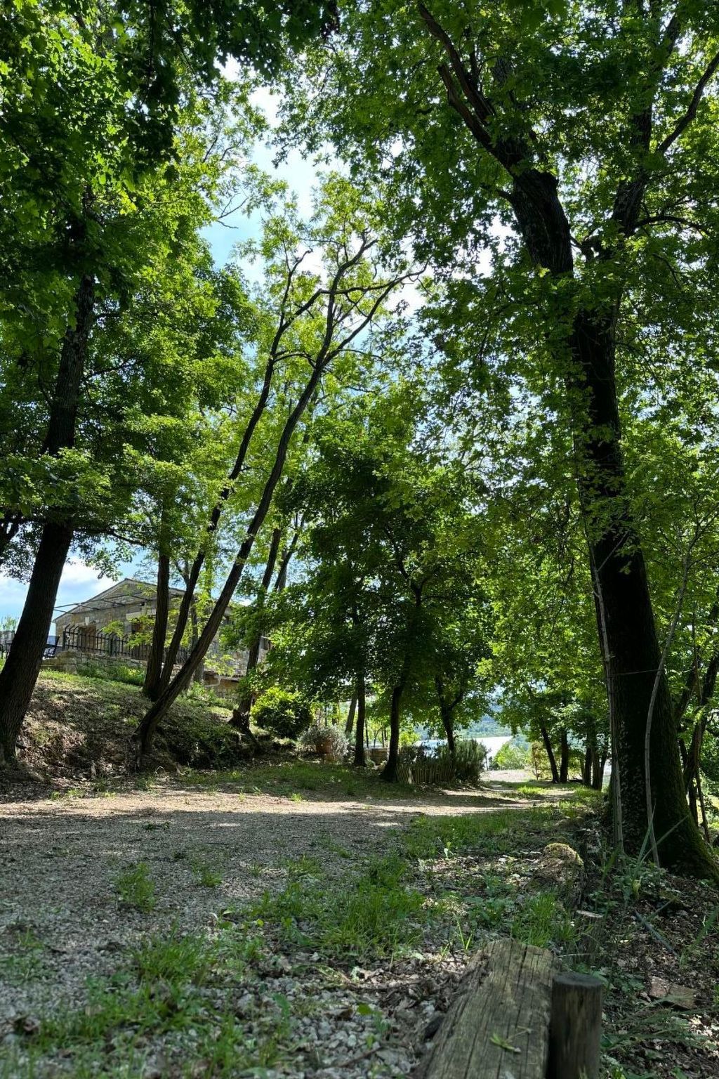 Kazeta-Image-tags.info