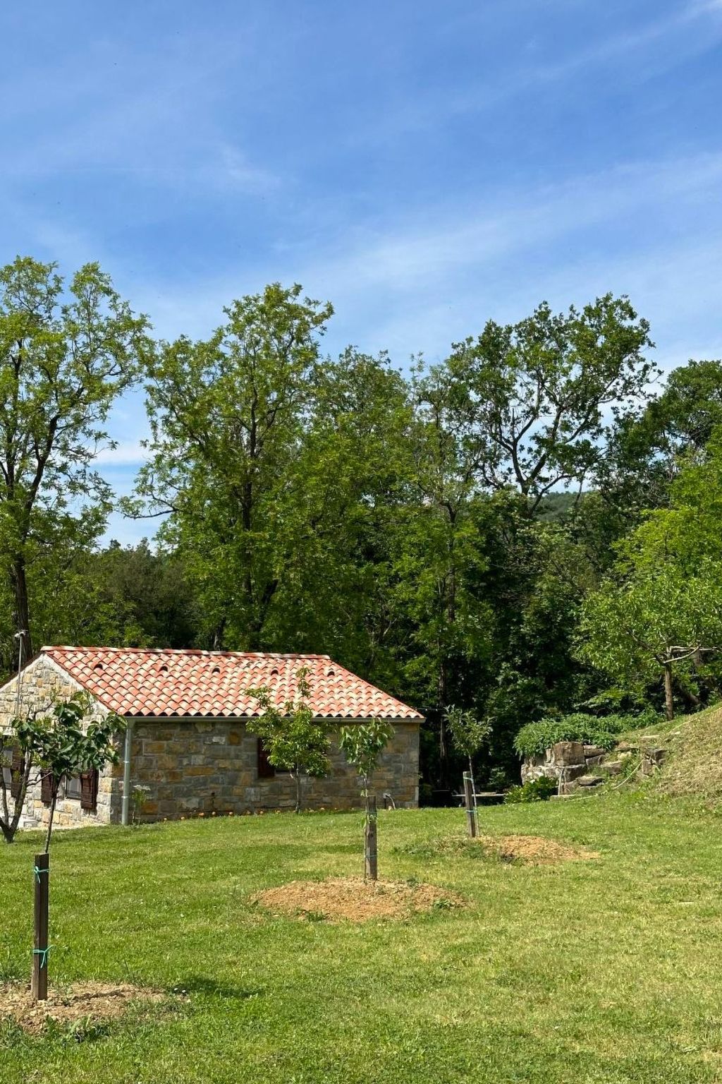 Kazeta-Image-tags.info