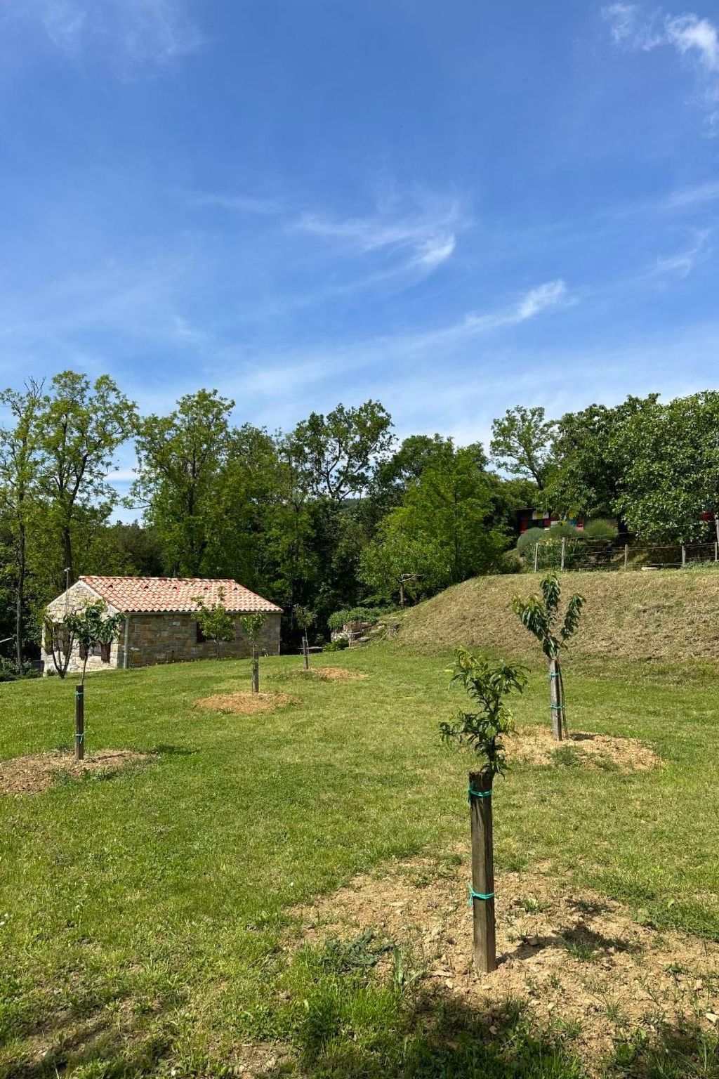 Kazeta-Image-tags.info