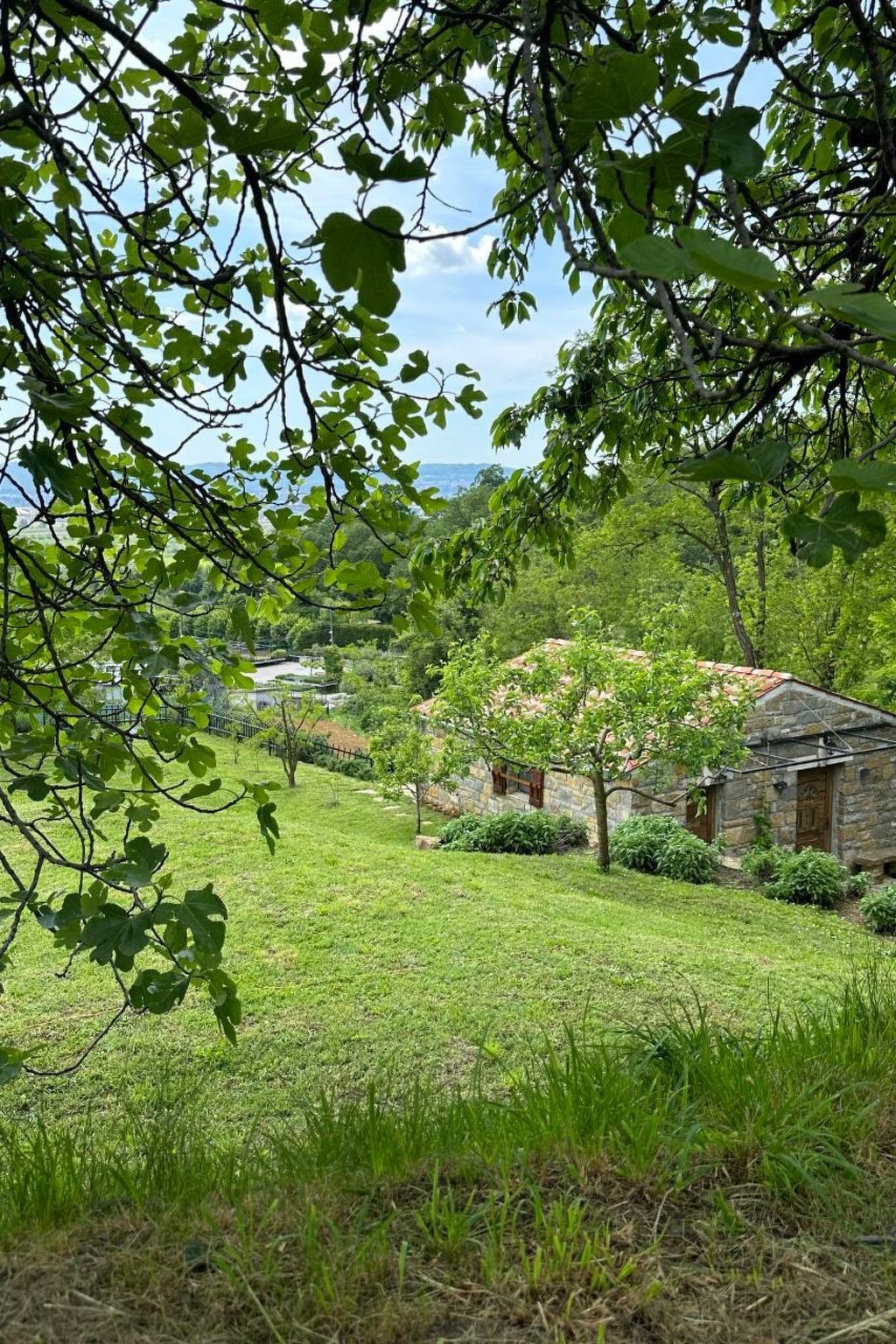 Kazeta-Image-tags.info