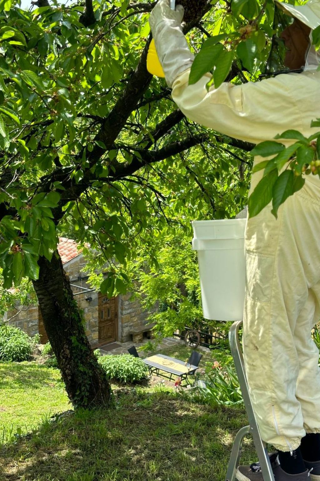 Kazeta-Image-tags.info