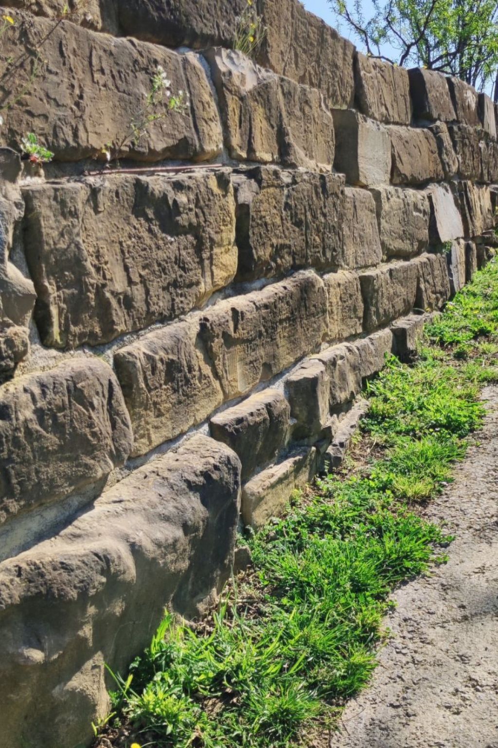 Kazeta-Image-tags.info