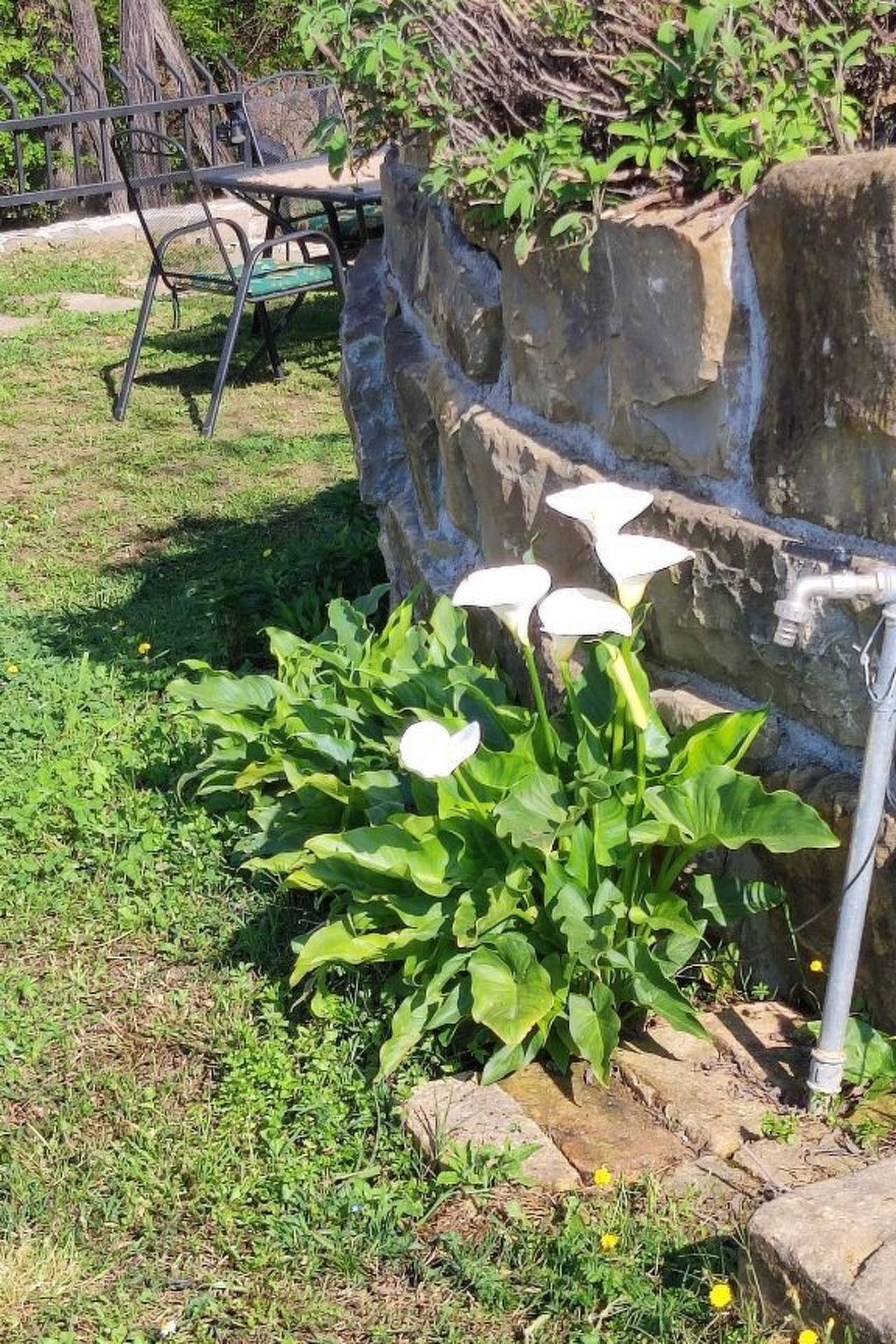 Kazeta-Image-tags.info