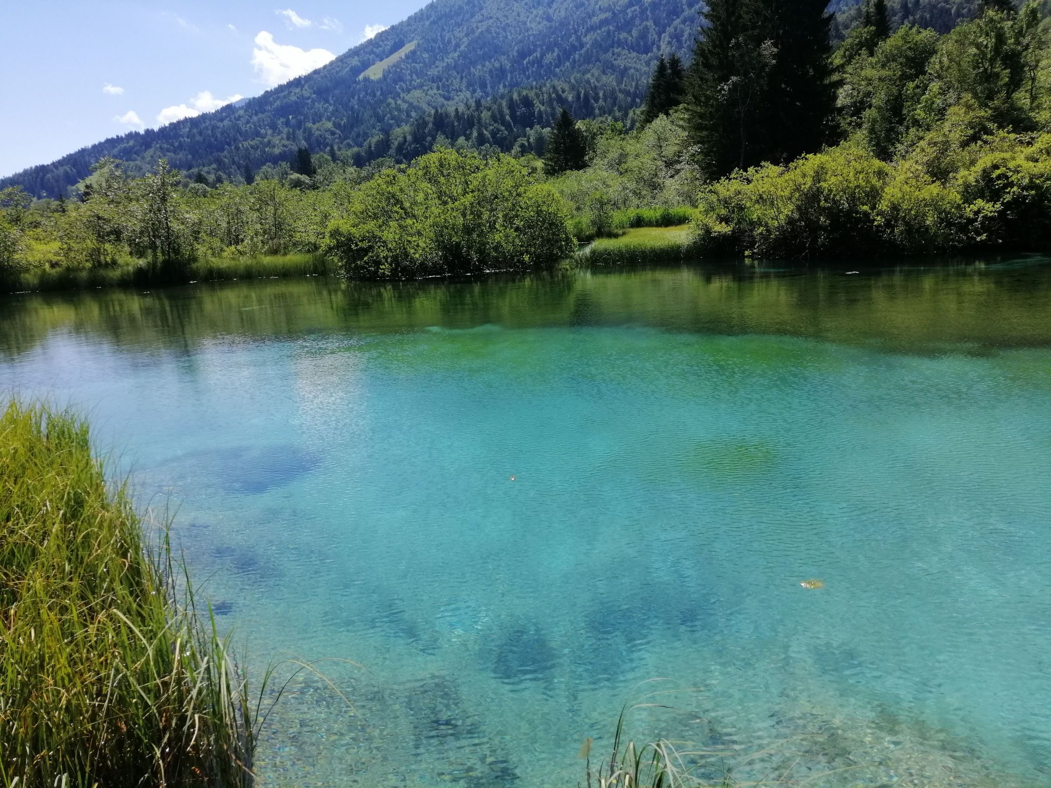 Studio-Appartement mit Balkon-Image-tags.info