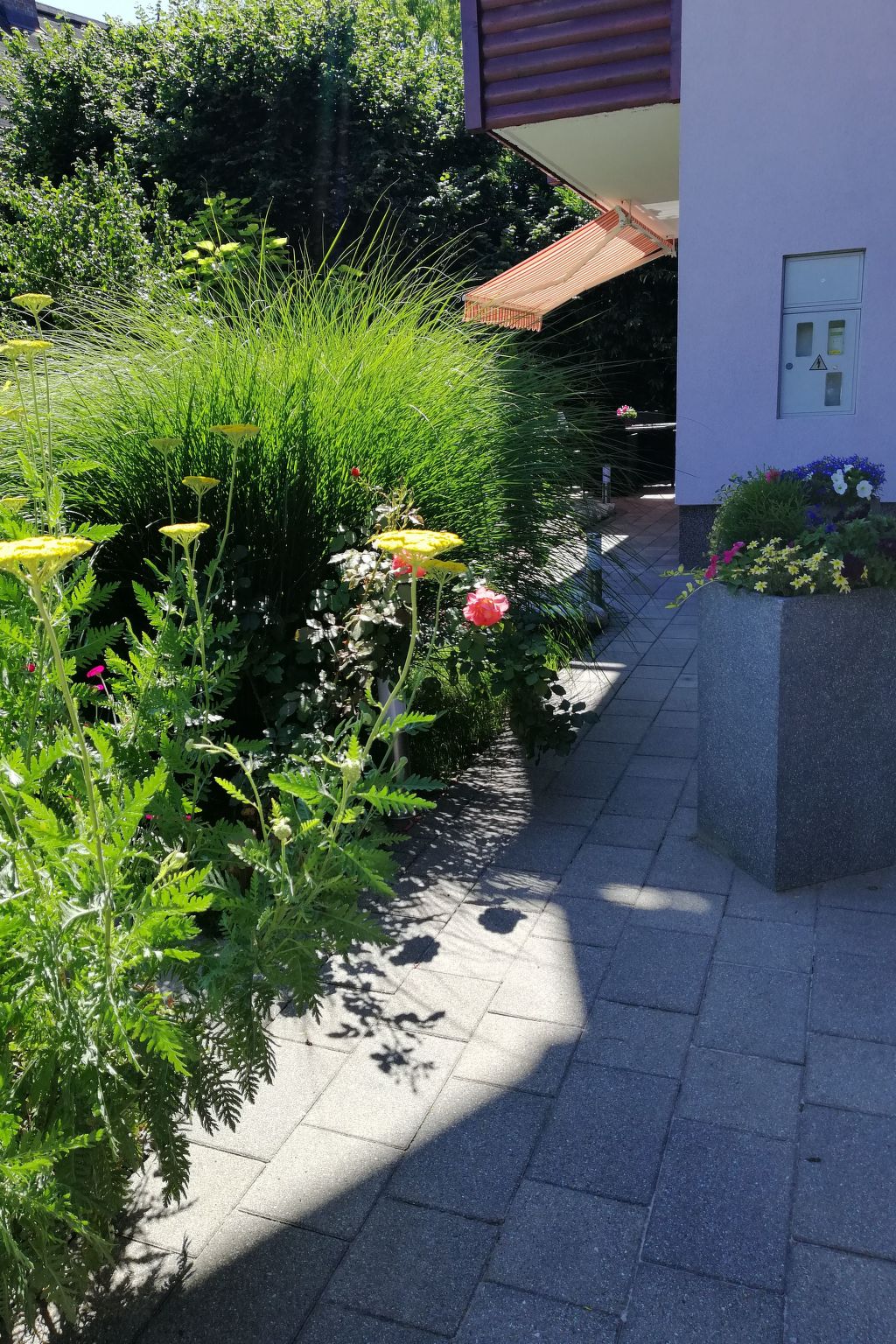 Mit eigenem Garten und Terrasse-Image-tags.info