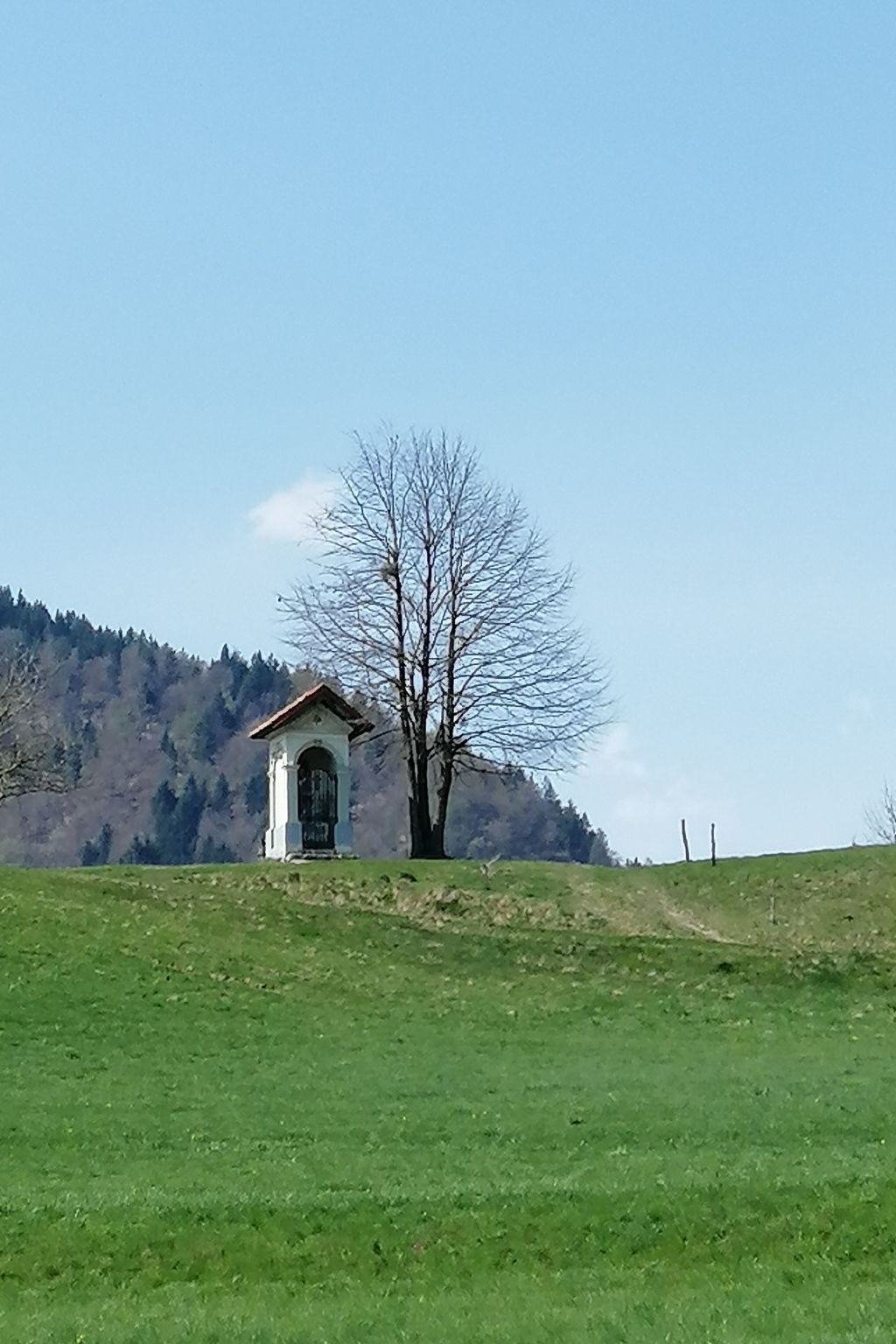 Mit eigenem Garten und Terrasse-Image-tags.info