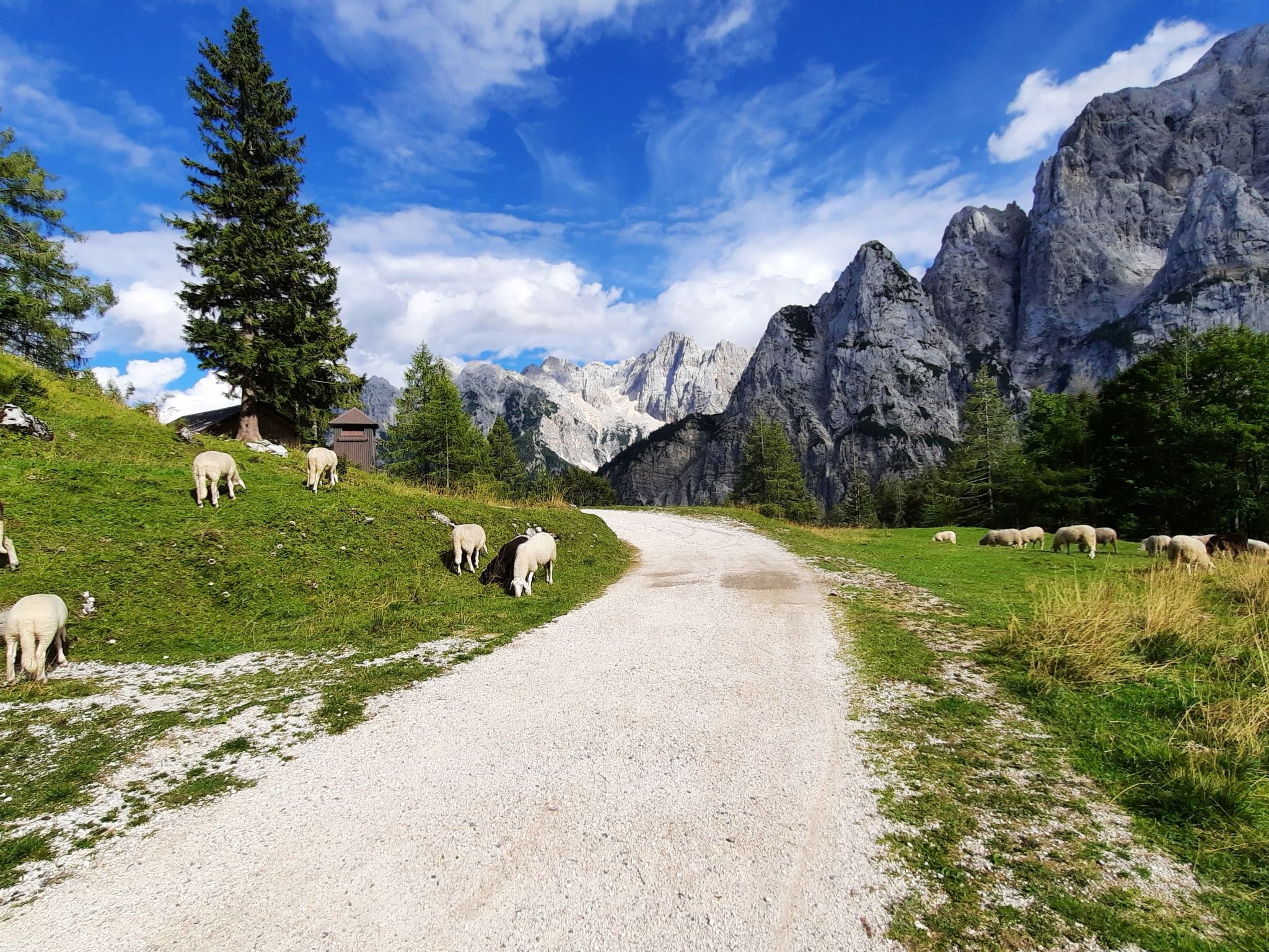 Mit eigenem Garten und Terrasse-Image-tags.info