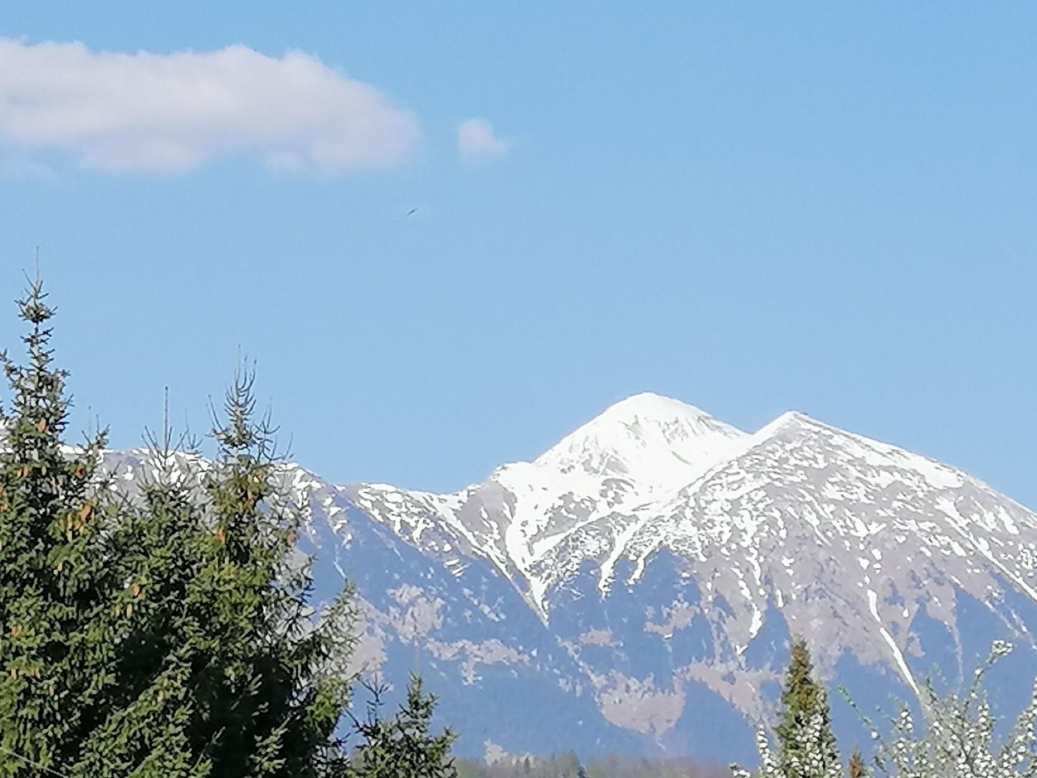 Mit eigenem Garten und Terrasse-Image-tags.info