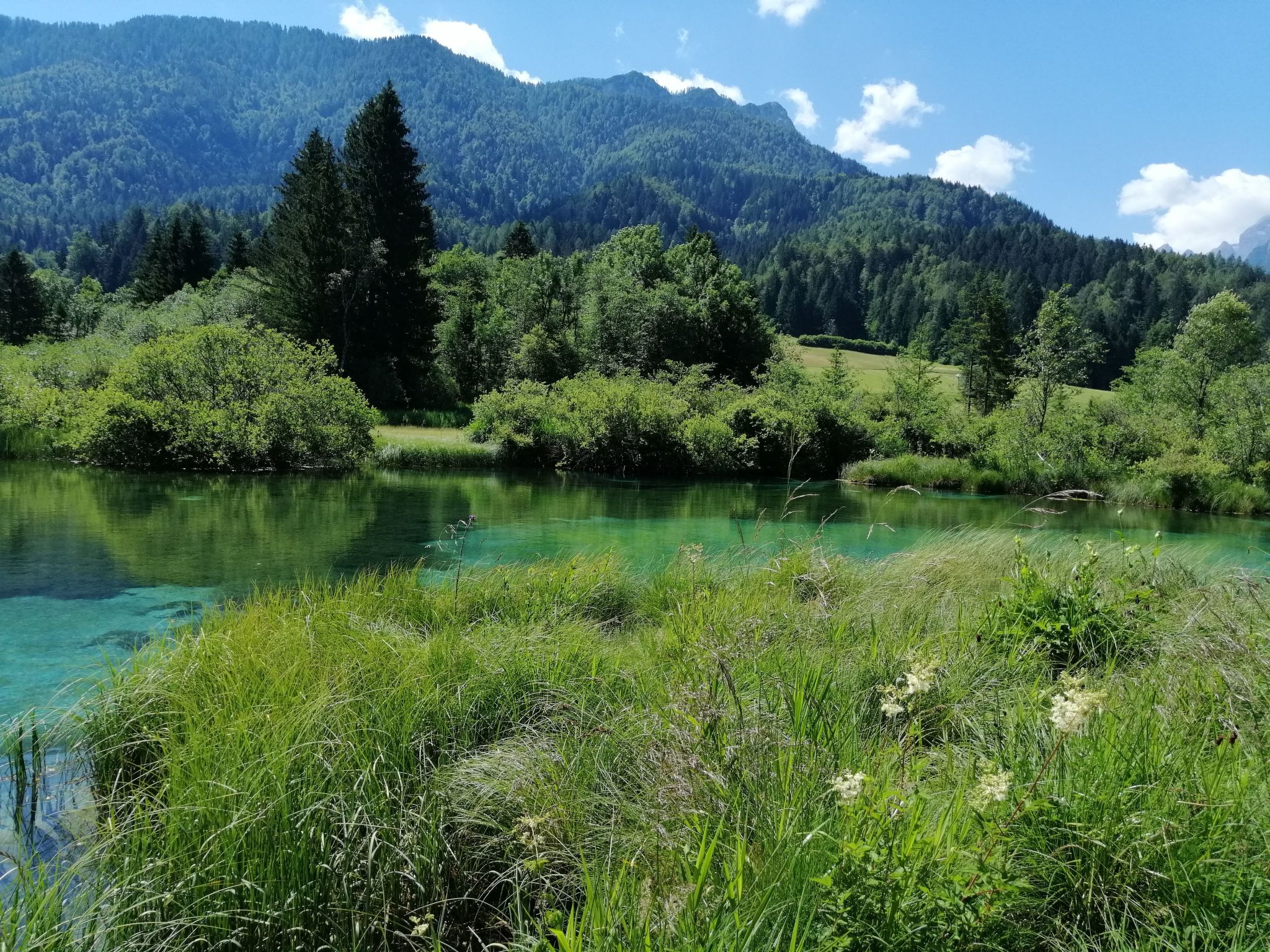 Mit eigenem Garten und Terrasse-Image-tags.info