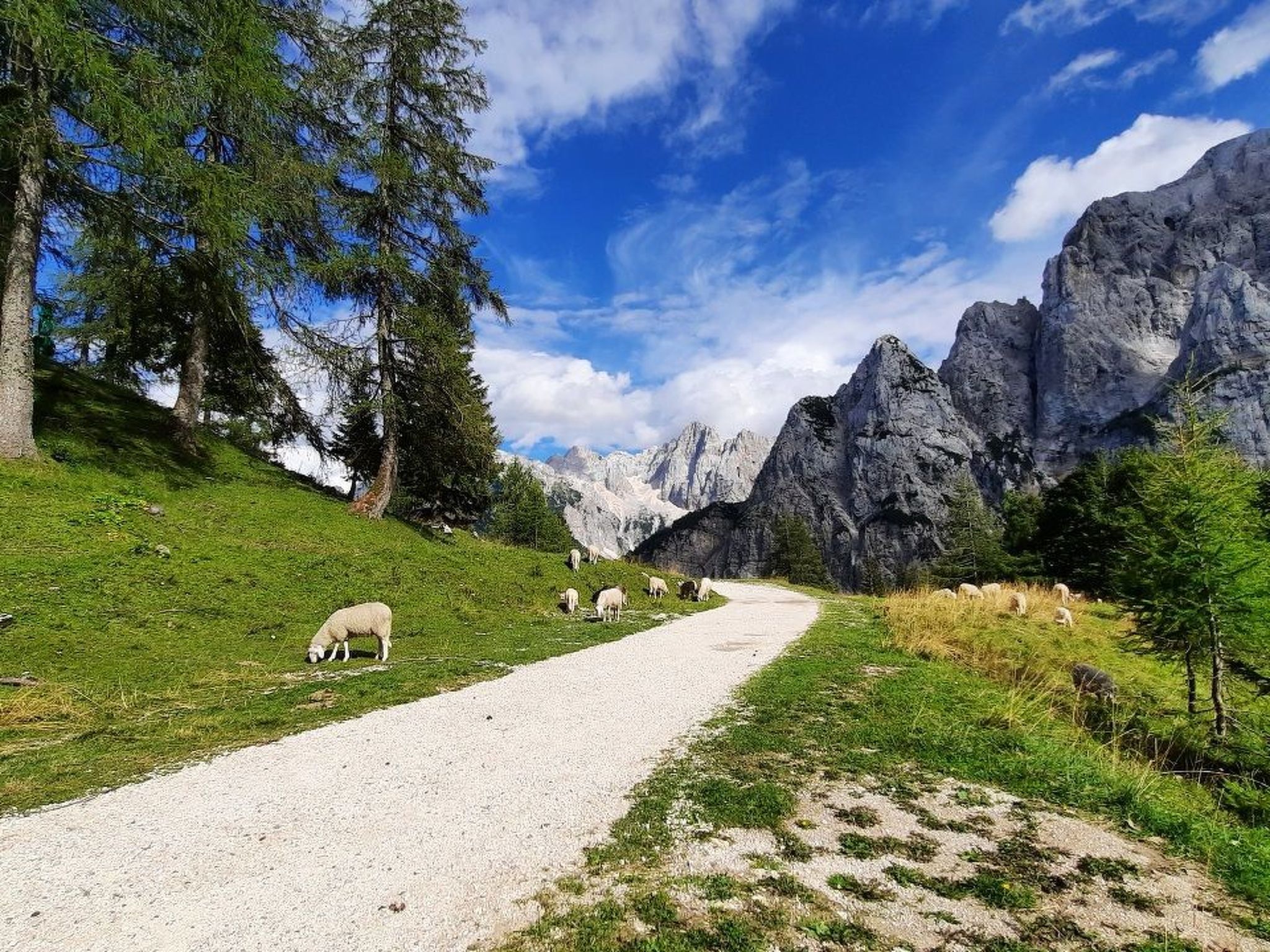 Mit Balkon-Image-tags.info