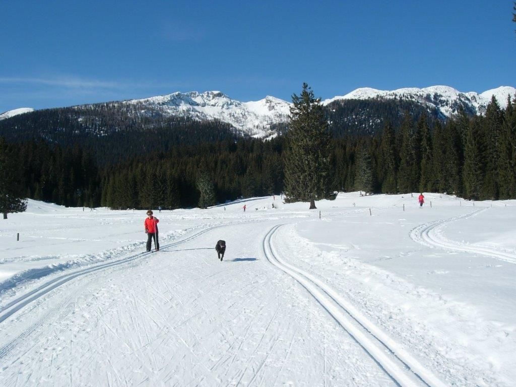 Mit Balkon-Image-tags.info