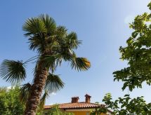 Comfortabel appartement in Lucija met tuin, op loopafstand van zee - thumbnail 1