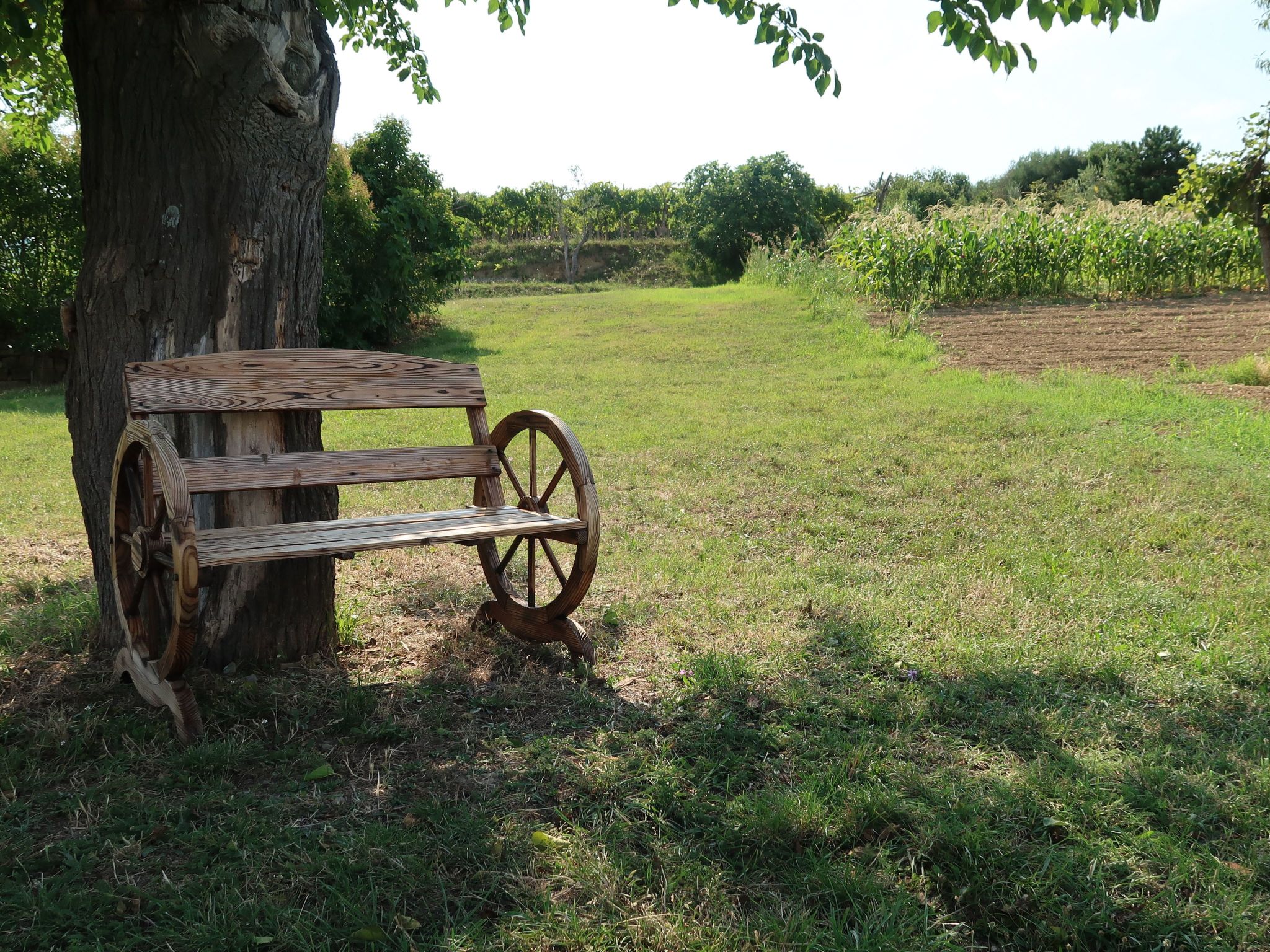 Ferienhaus in Piran (Slowenien) und 1 Hund erlaubt