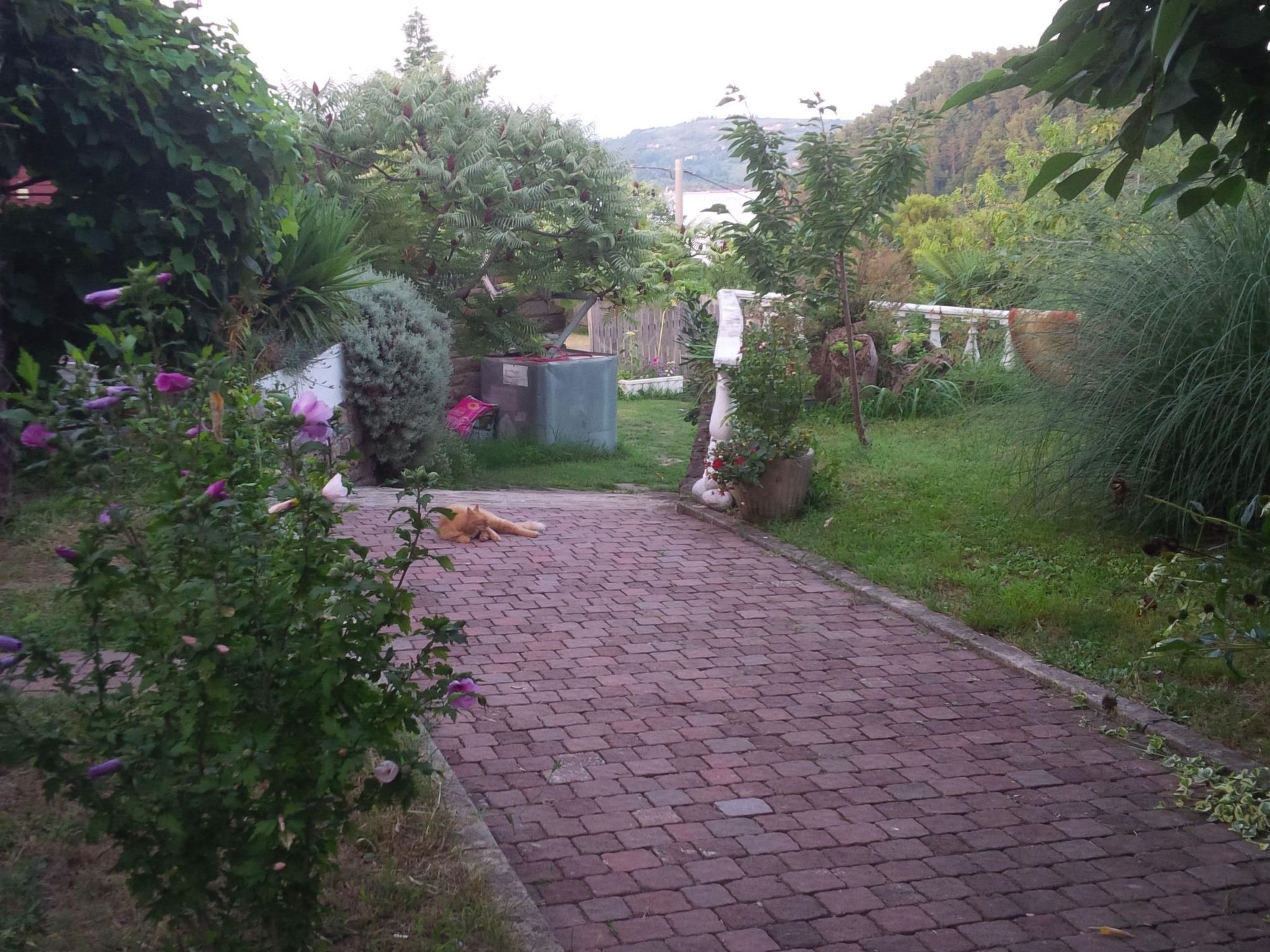 Appartement mit Balkon-Binnen