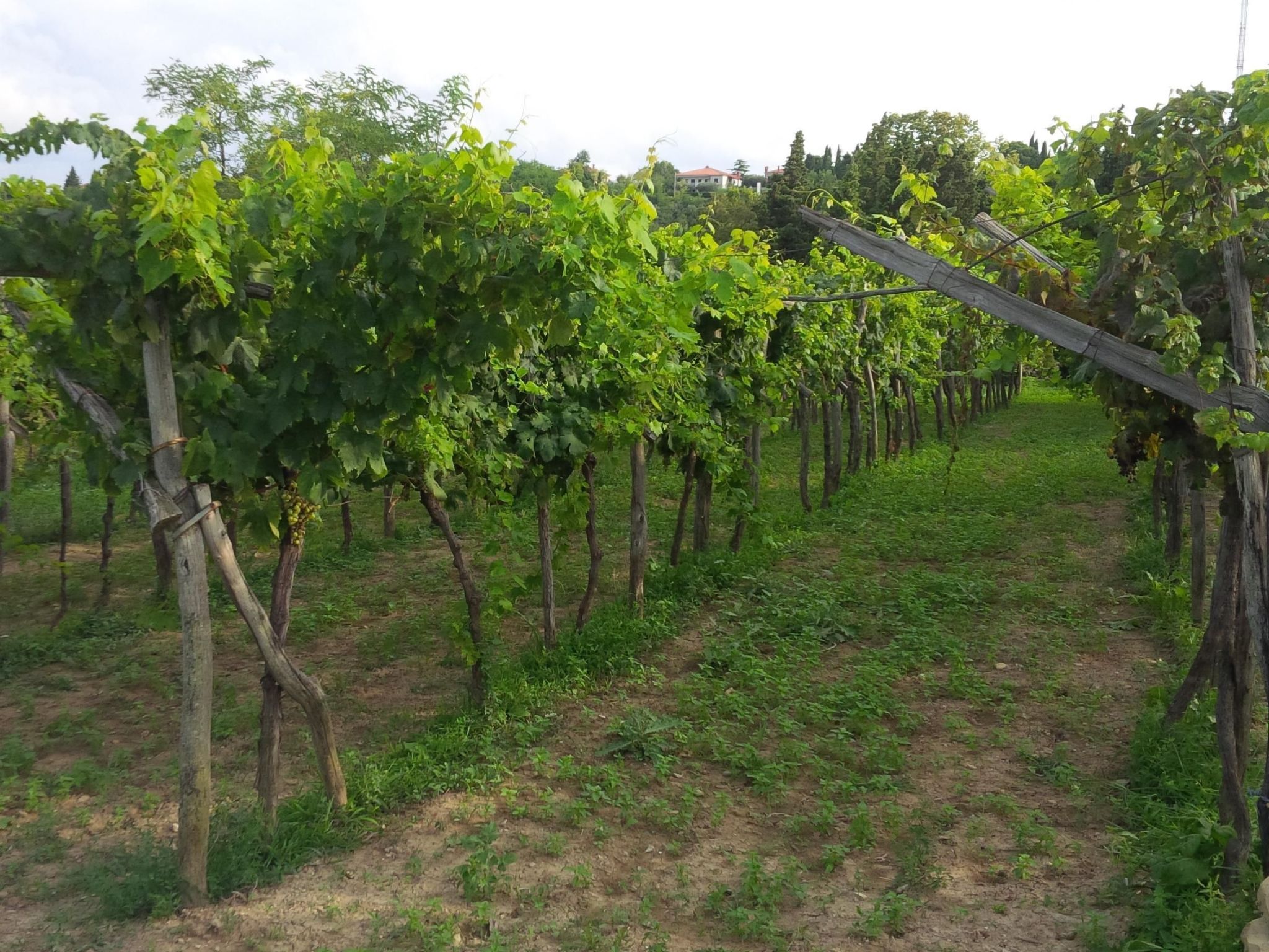 Appartement mit Balkon-Binnen