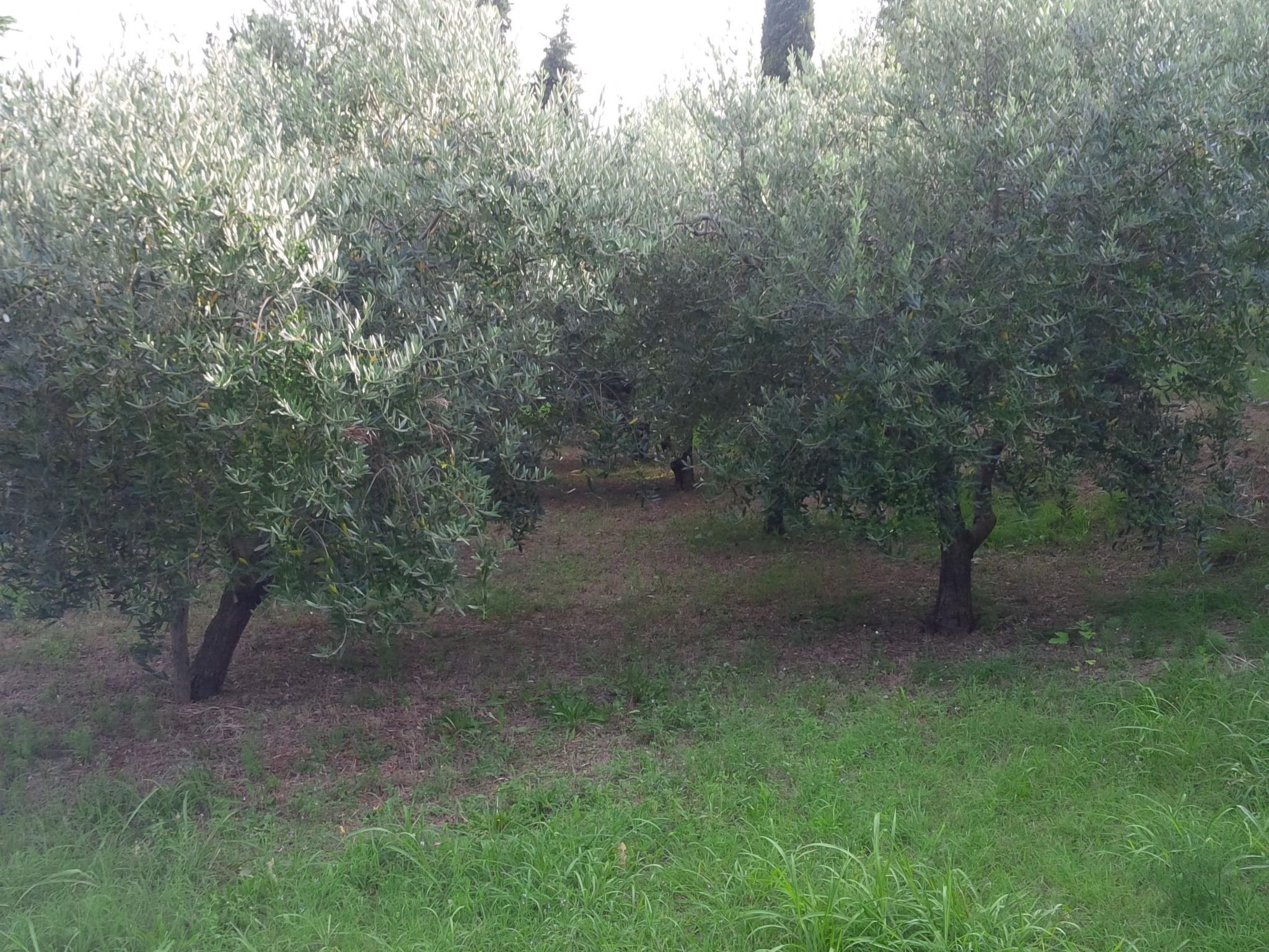 Appartement mit Balkon-Binnen