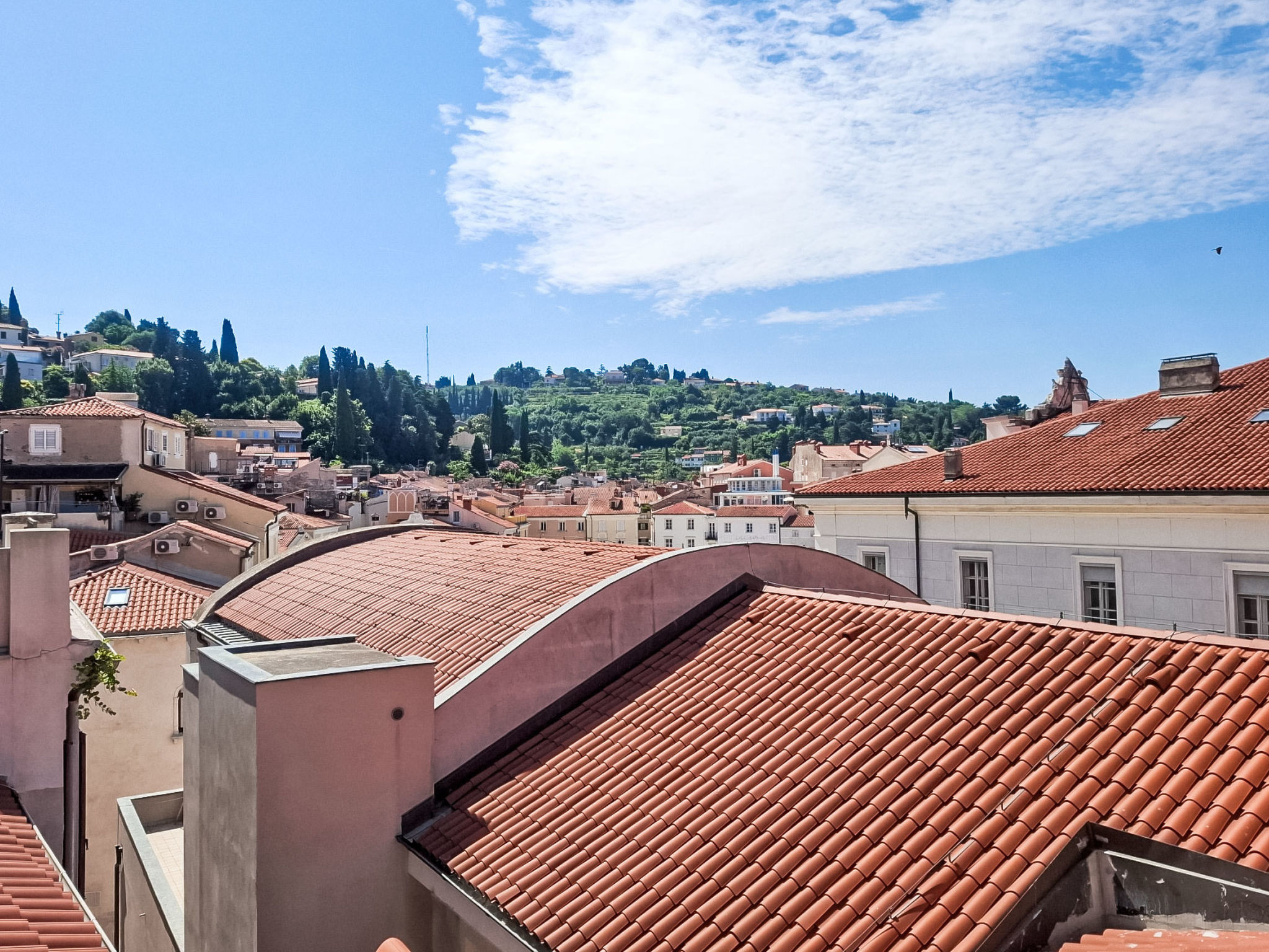 "JMJ Nono Piran"
