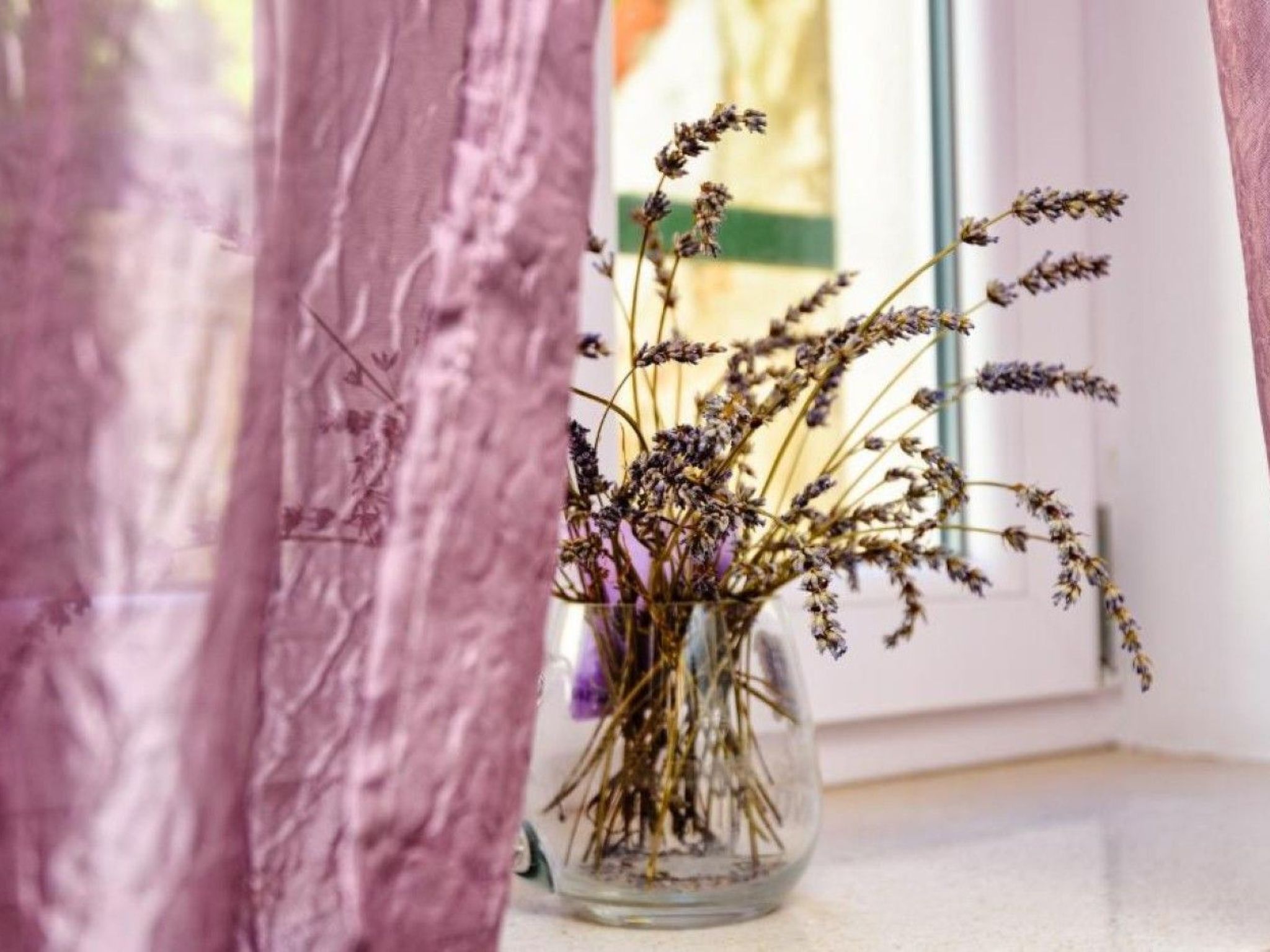 Vakantiehuis in Piran (Slovenië) 1 hond is welkom