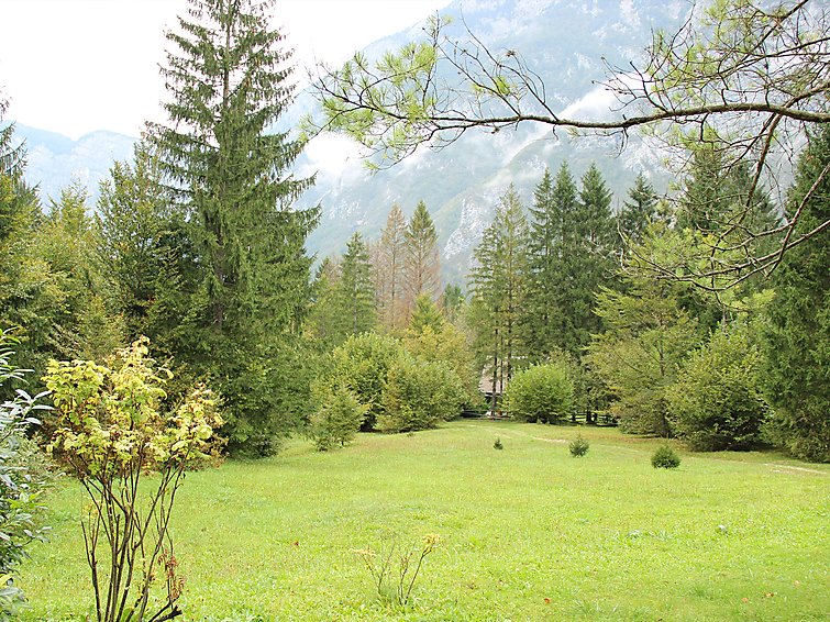 Photo of Savica